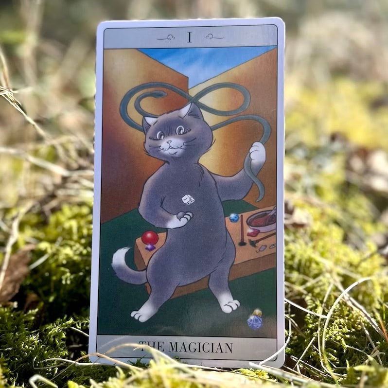 The Way Jodorowsky Explained Tarot to His Cat