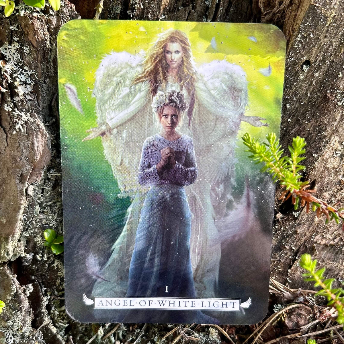 Angel Oracle 17 Angel Oracle – Daglig vägledning från änglarna – Tarotlandet