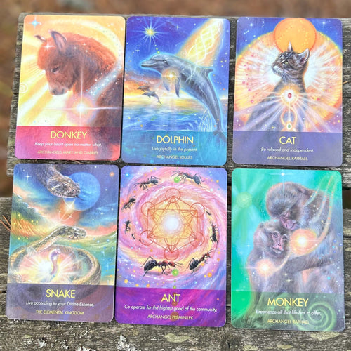 Archangel Animal Oracle Cards