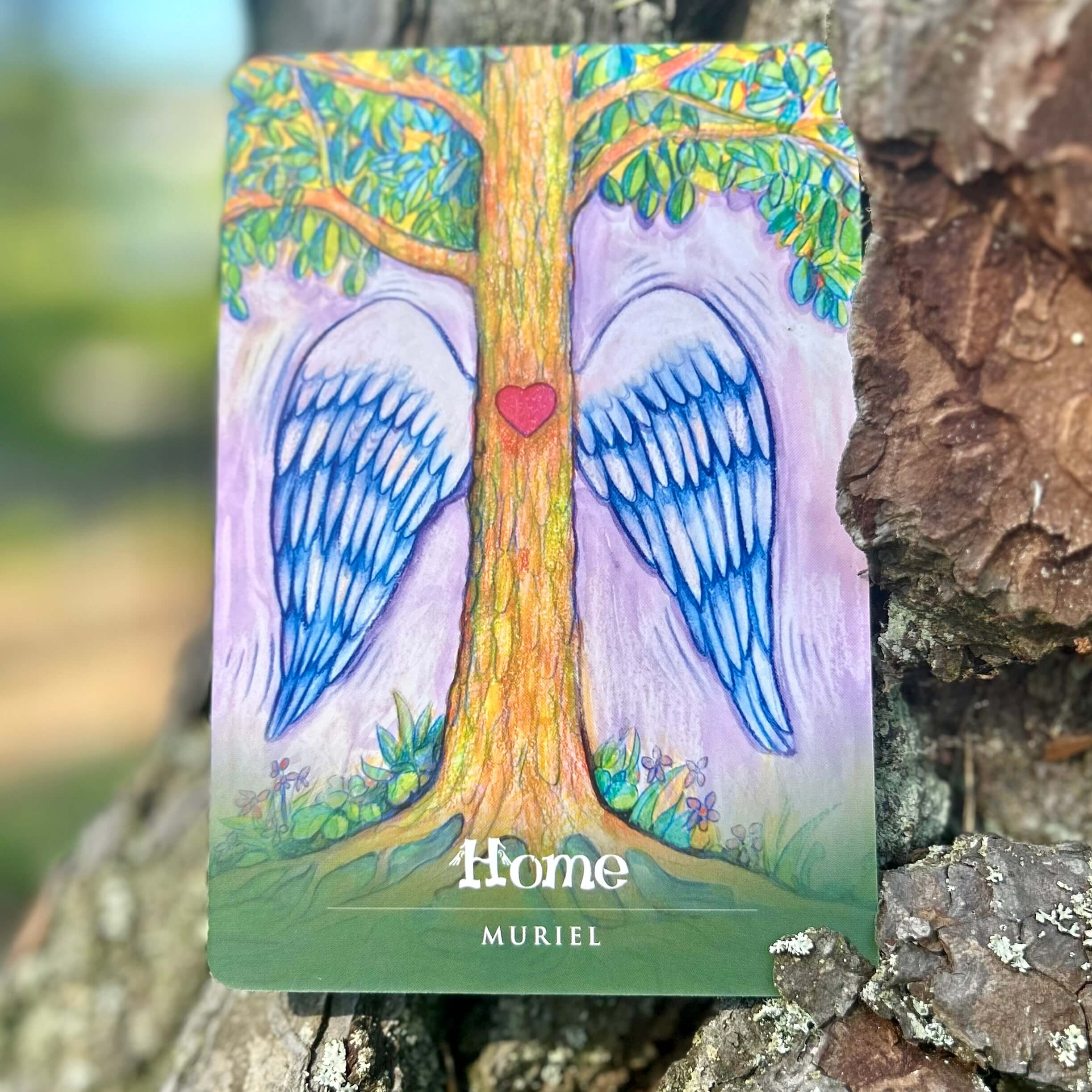Ask an Angel Oracle Cards