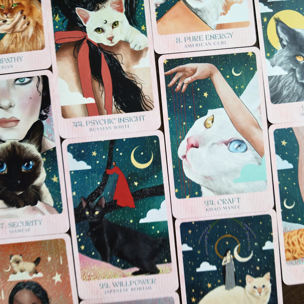Ask the Feline Sages: Wisdom From Our Cherished Cats