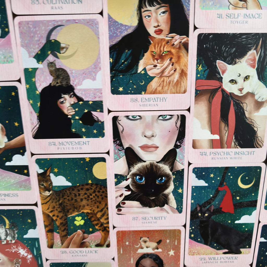 Ask the Feline Sages: Wisdom From Our Cherished Cats