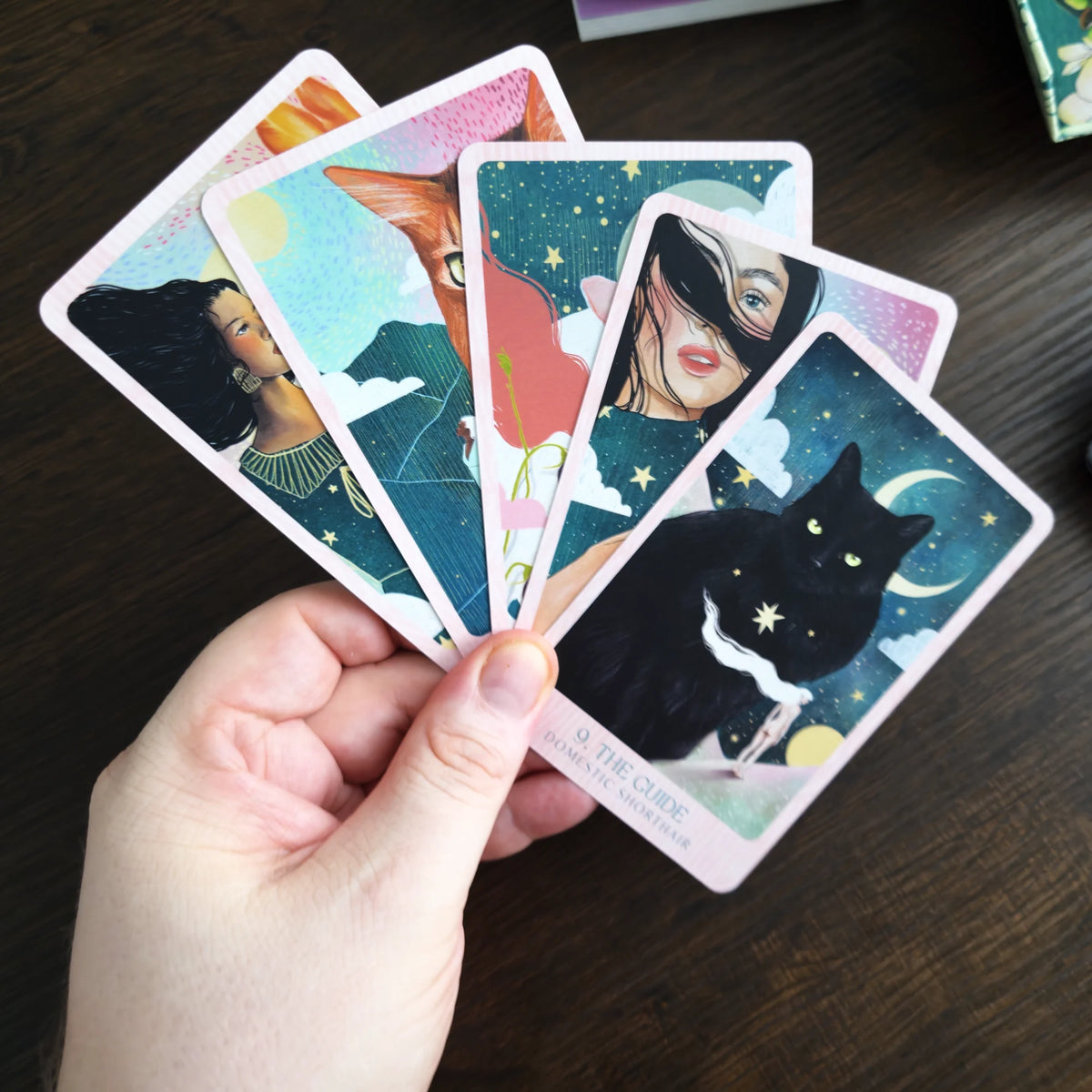 Ask the Feline Sages: Wisdom From Our Cherished Cats