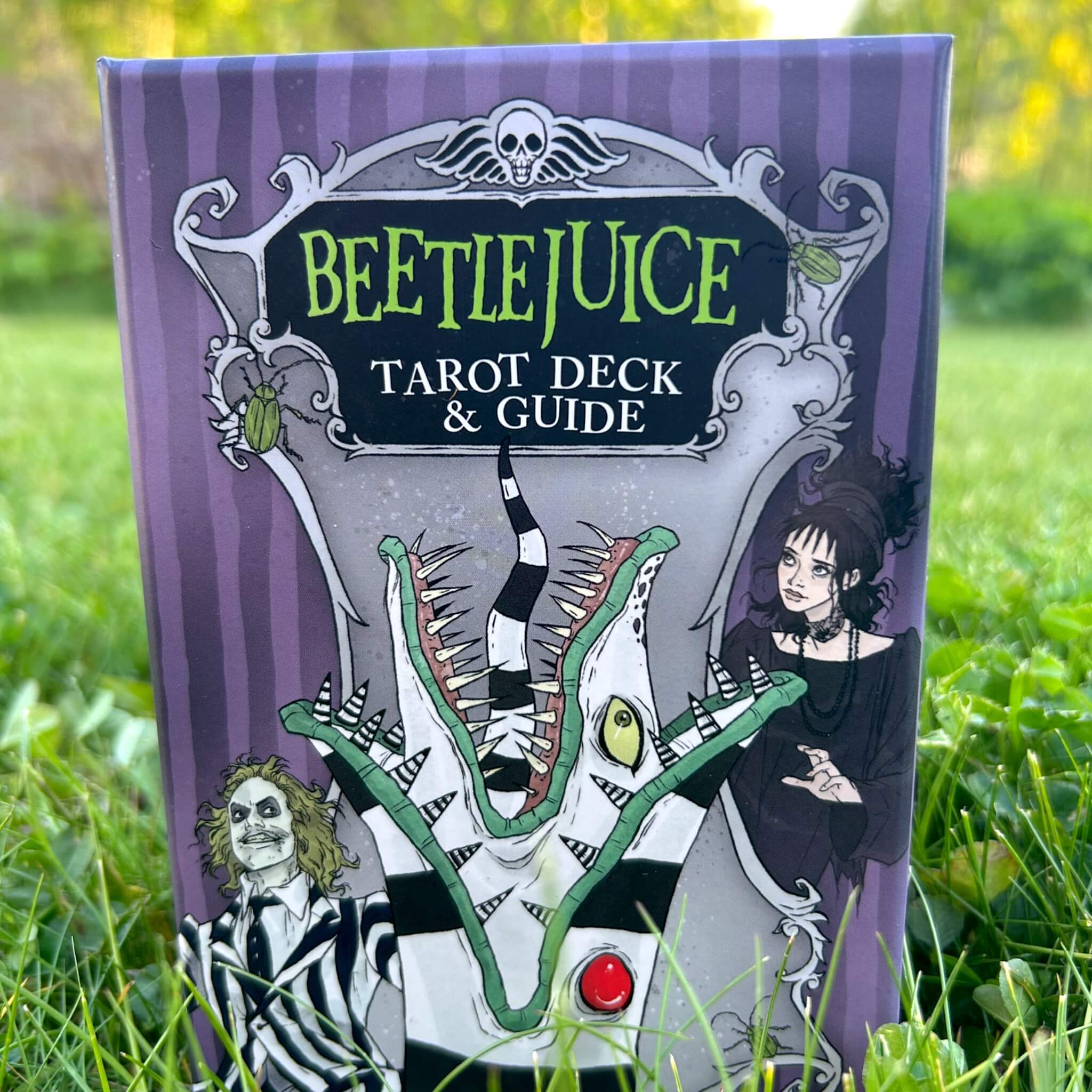 Beetlejuice Tarot Deck & Guide
