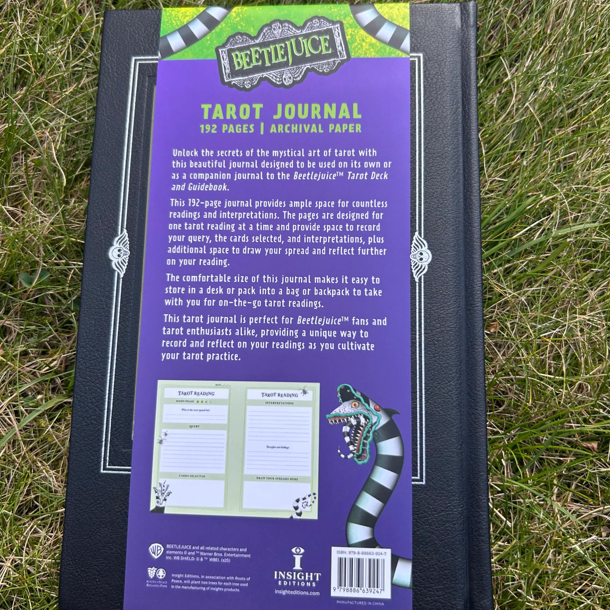 Beetlejuice Tarot Journal
