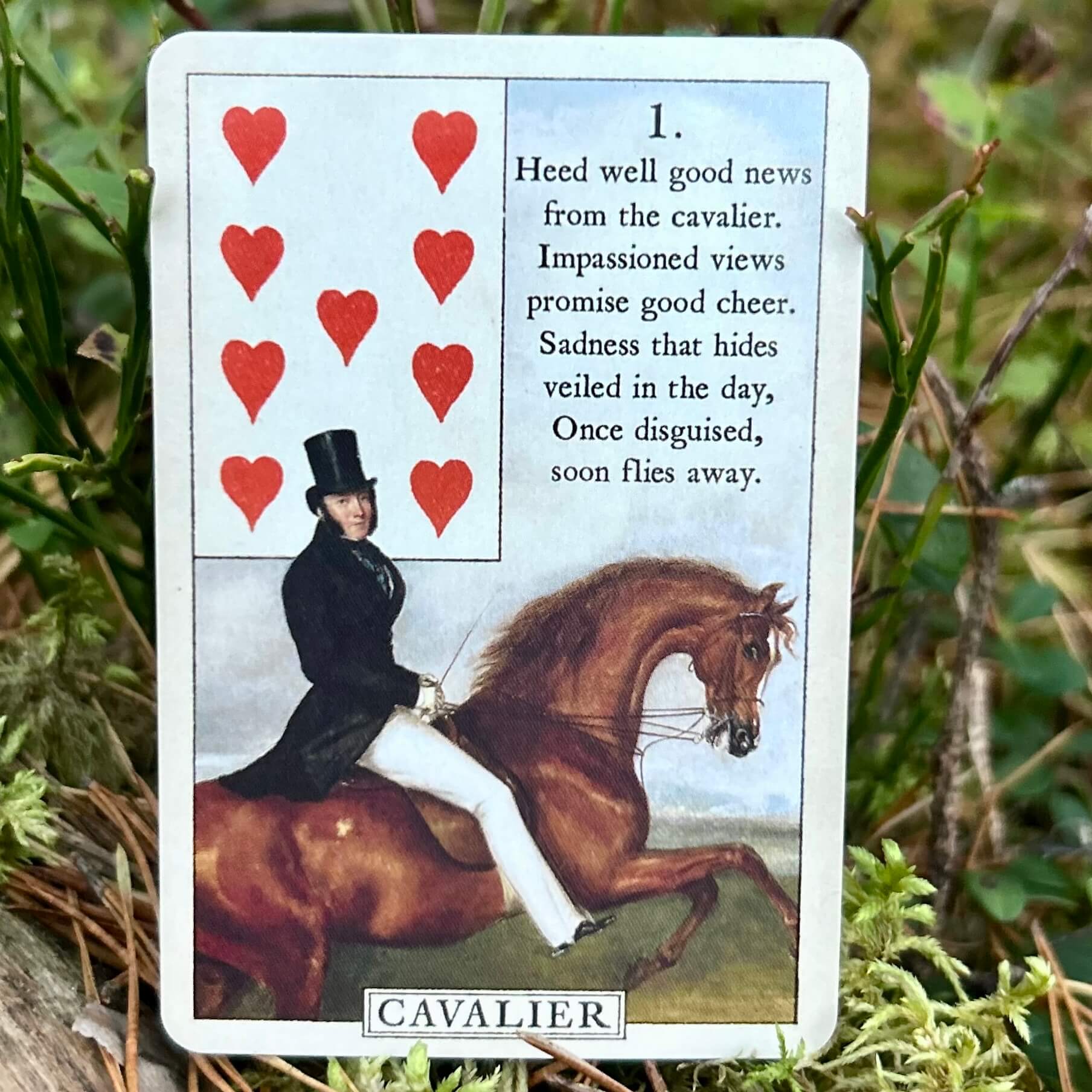 Blue Bird Lenormand