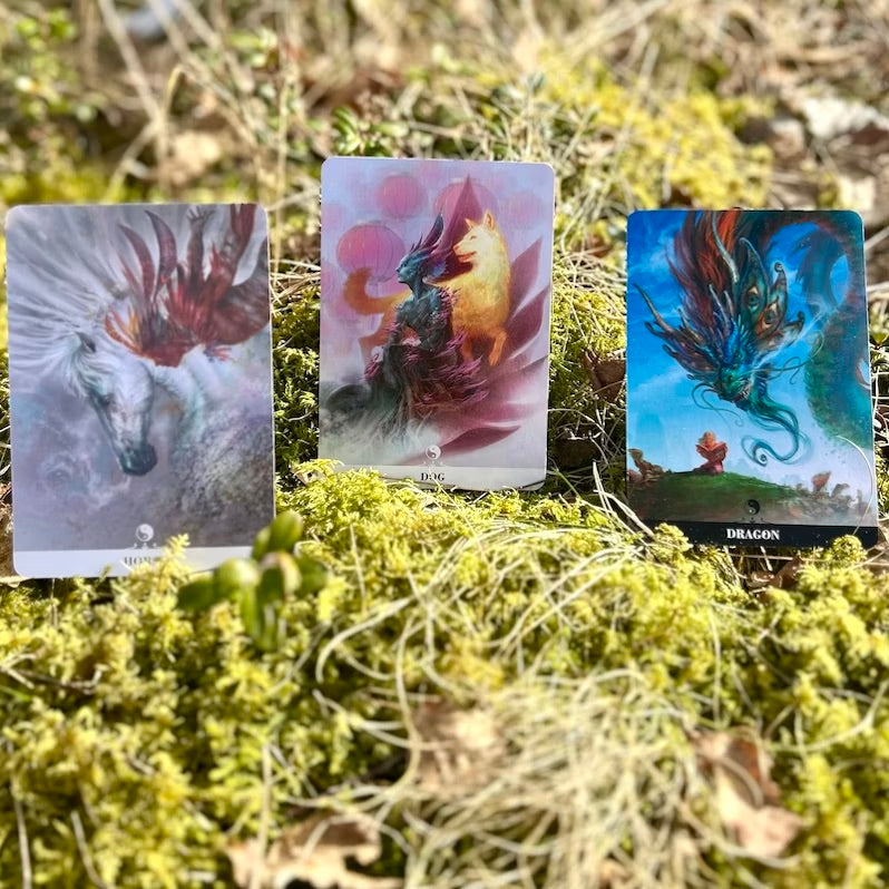 Chinese Oracle