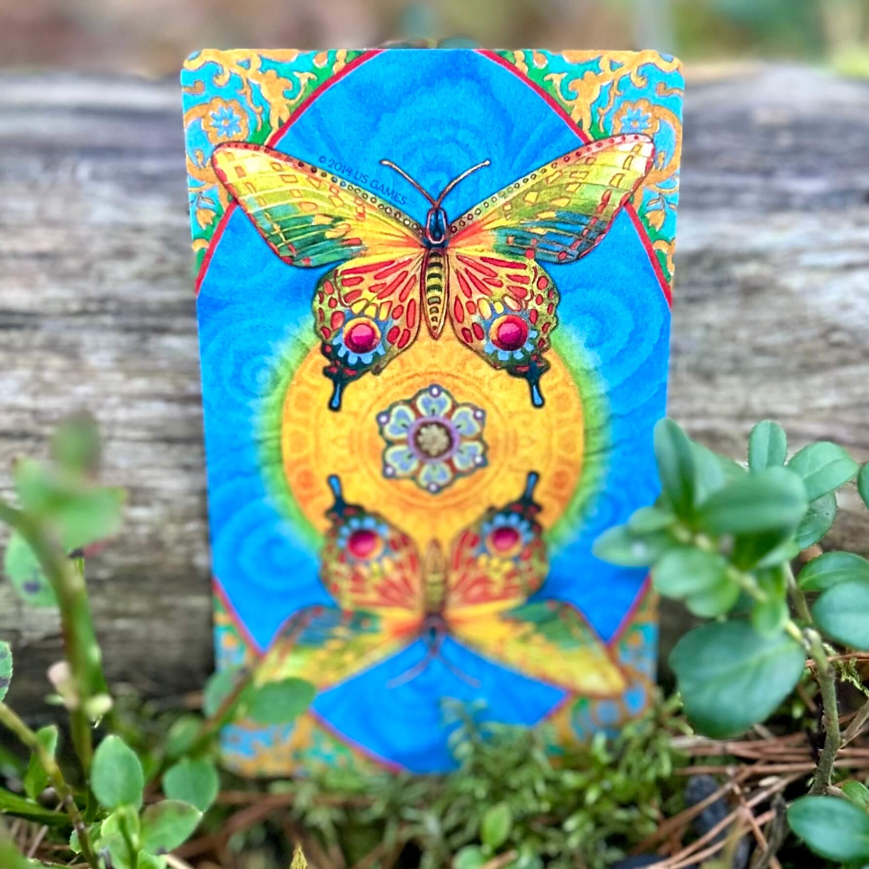 Chrysalis Tarot