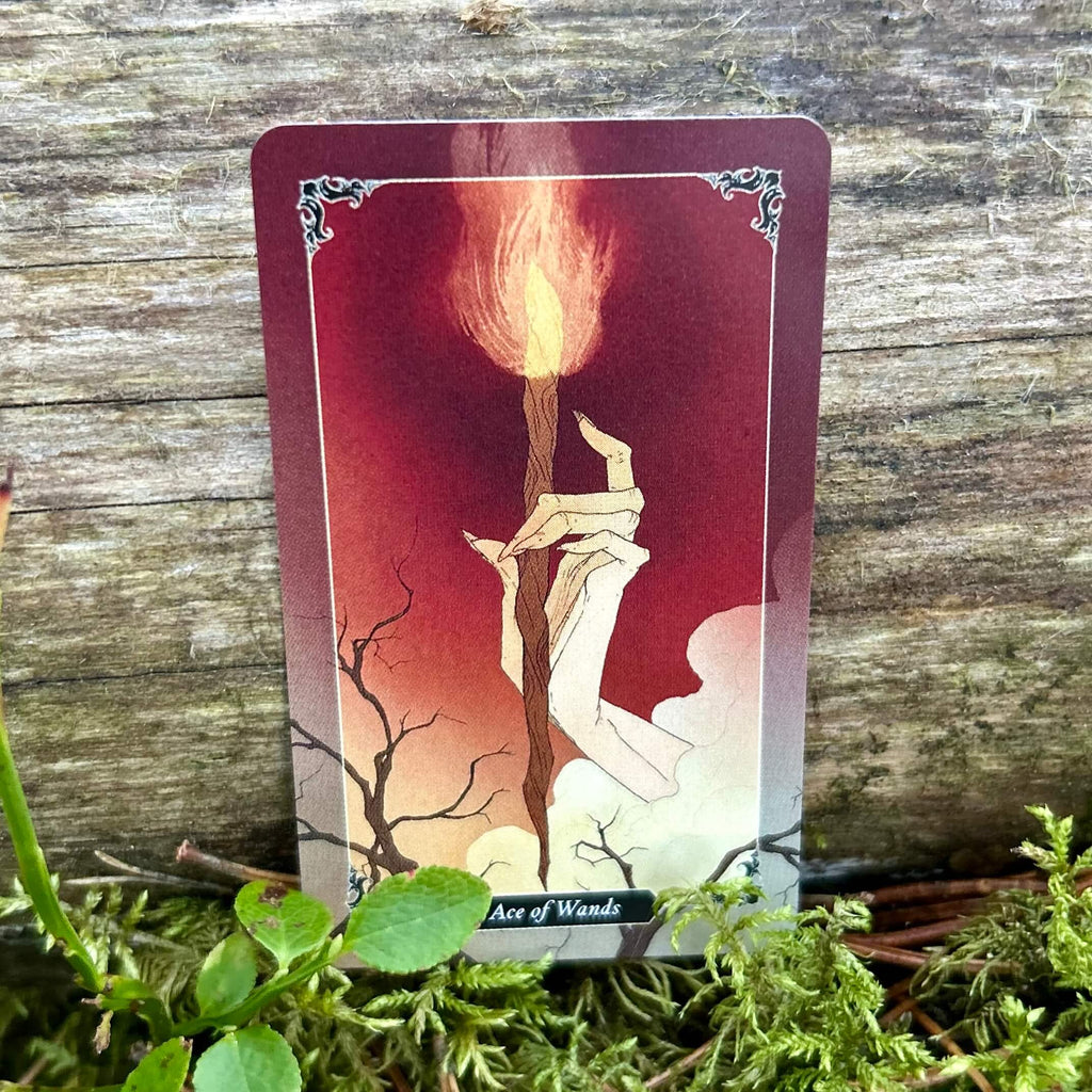 Dark Wood Tarot Mini Deck