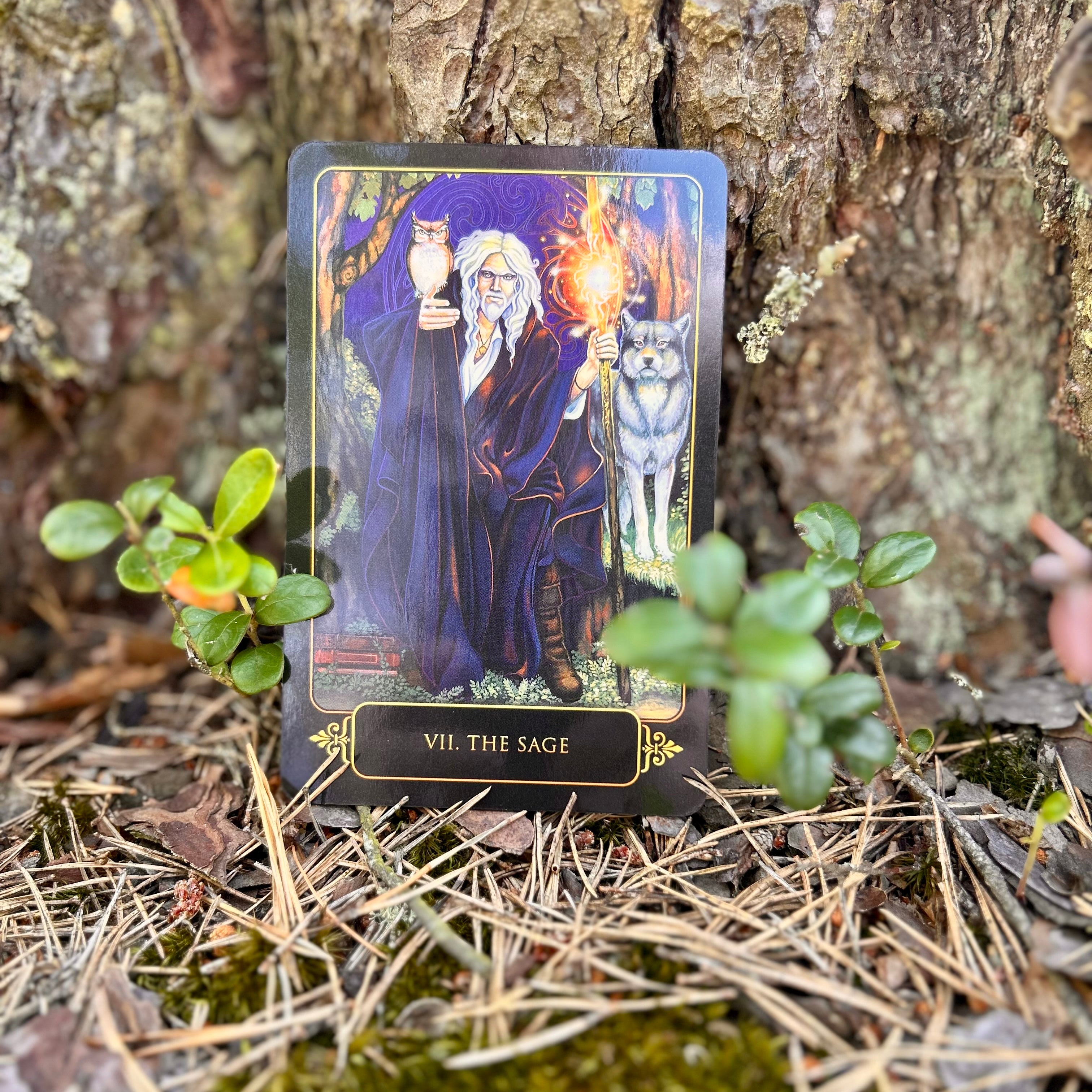 Dreams Of Gaia Tarot: A Tarot for a New Era