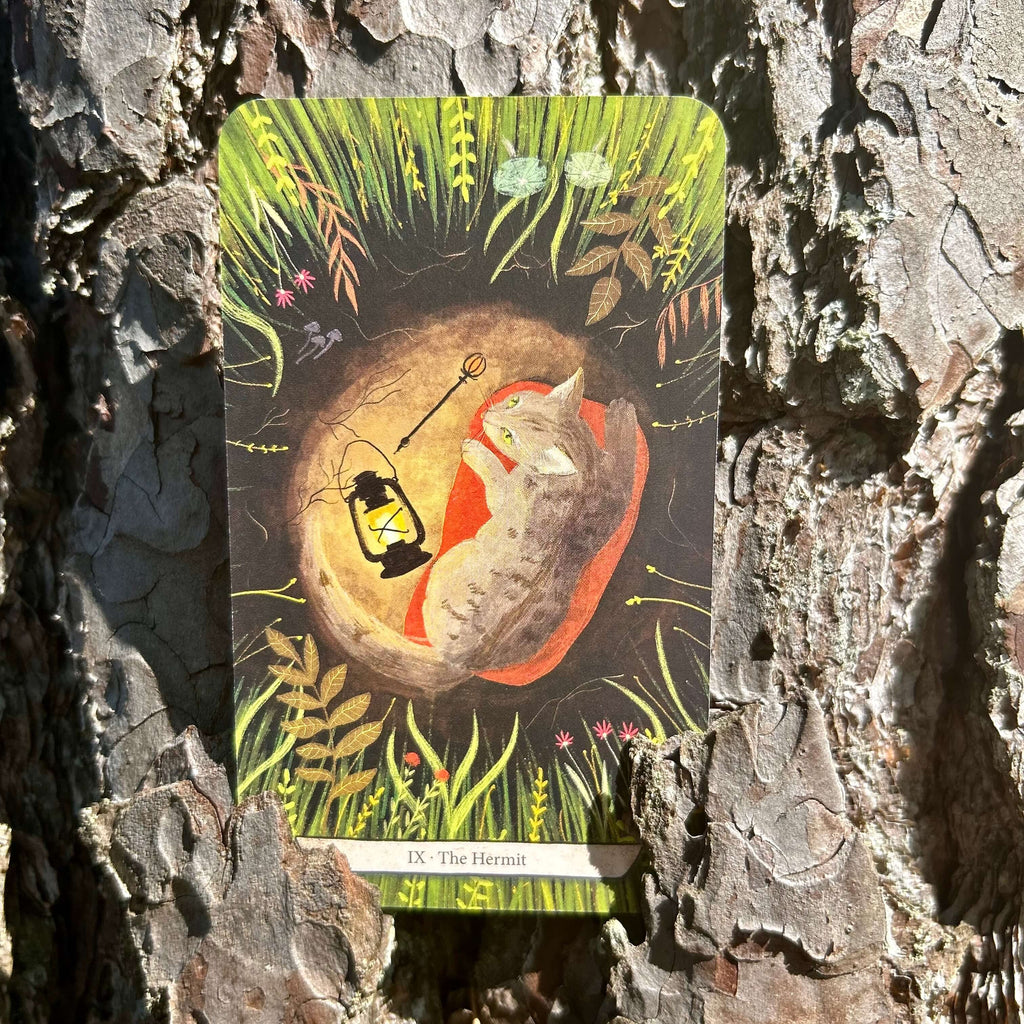 Enchanted Forest Felines Tarot