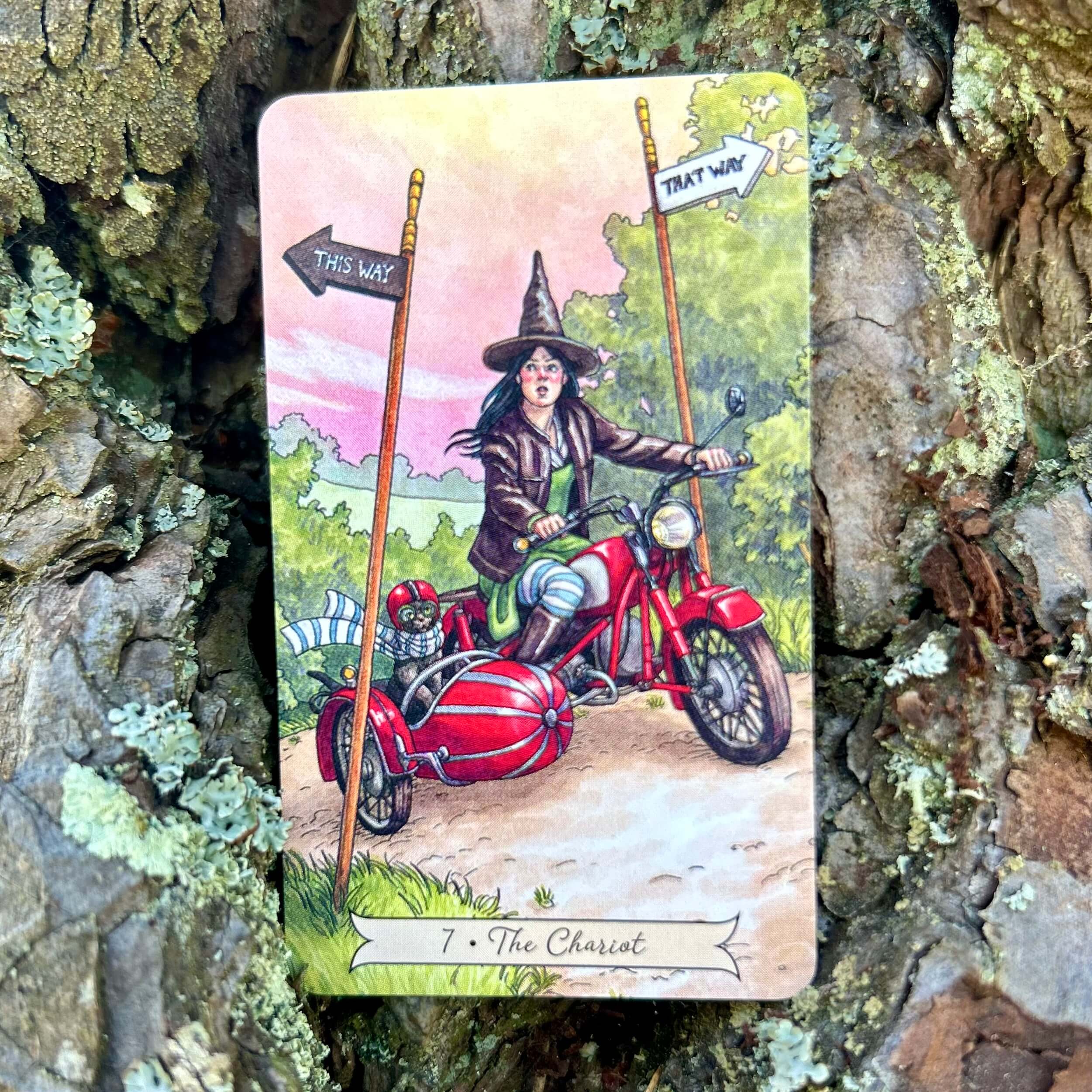 Everyday Witch Tarot Mini