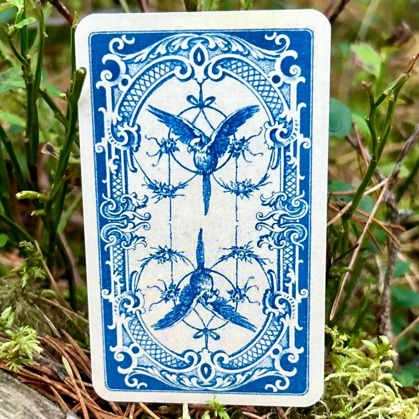 Grand Tableau Lenormand Oracle Cards