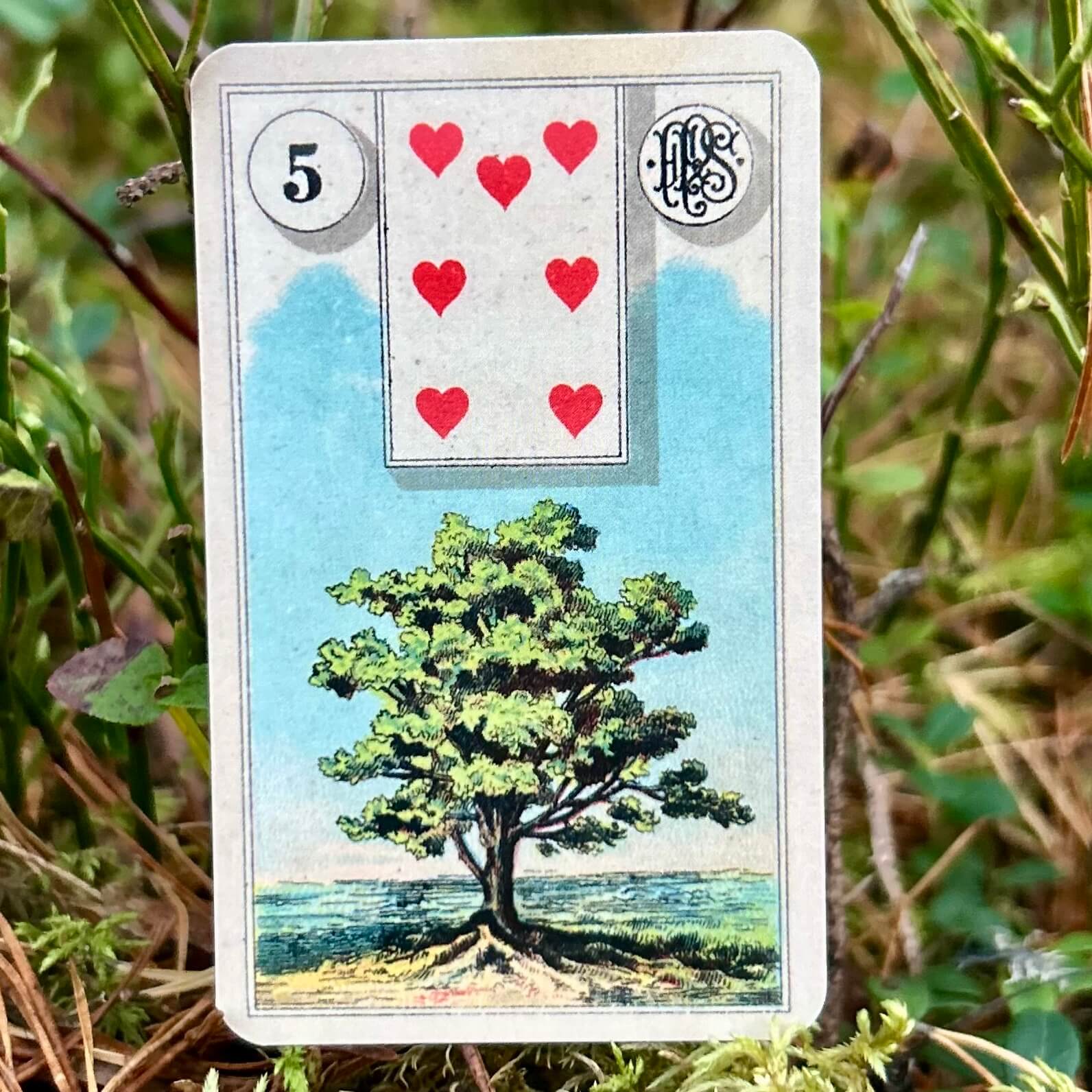 Grand Tableau Lenormand Oracle Cards