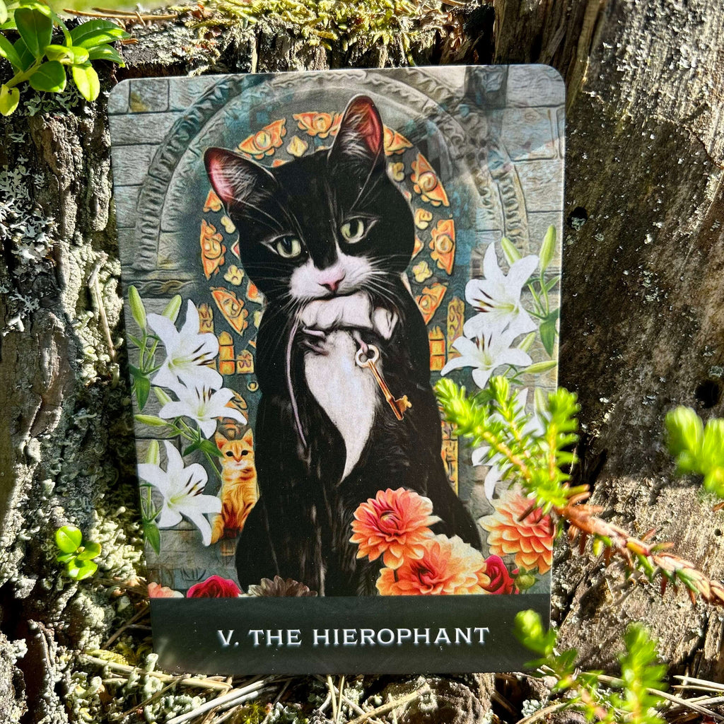 Grimalkin's Curious Cats Tarot