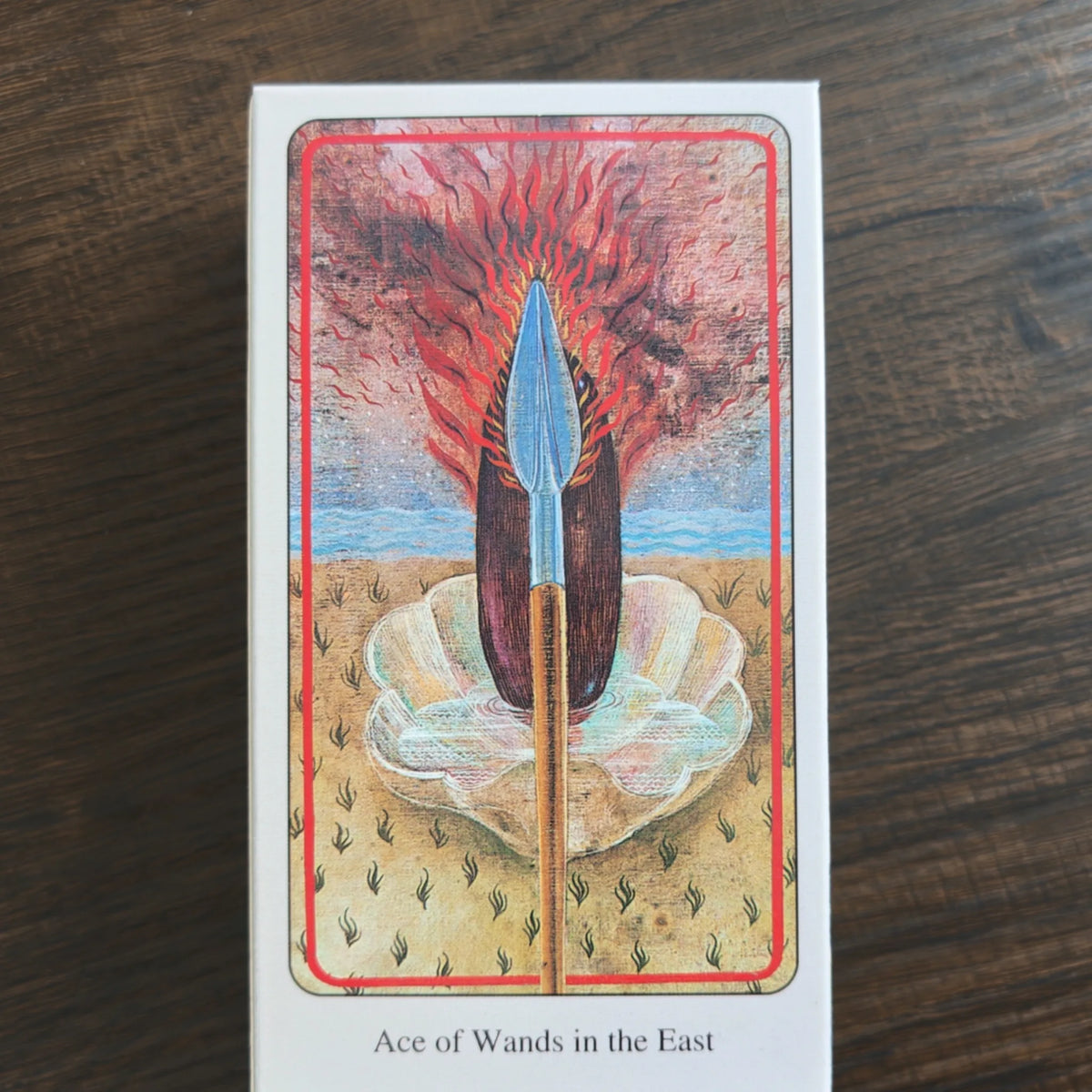 Kortet Ace of Wands in the East ur Haindl Tarot med ett spjut framför en flammande röd himmel och ett snäckskal