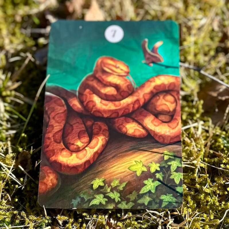 Herbs & Plants Lenormand Oracle Cards