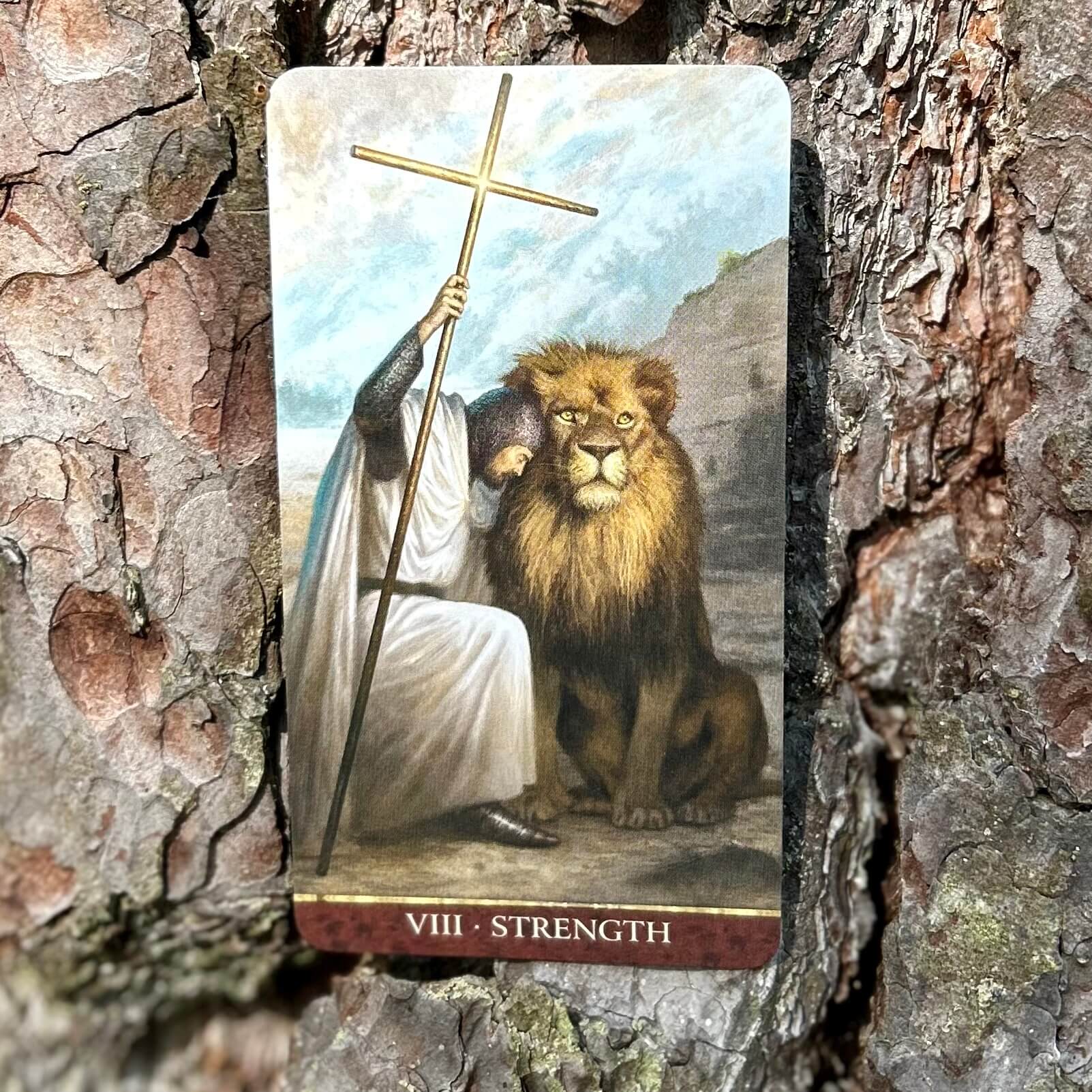 Knights Templar Tarot