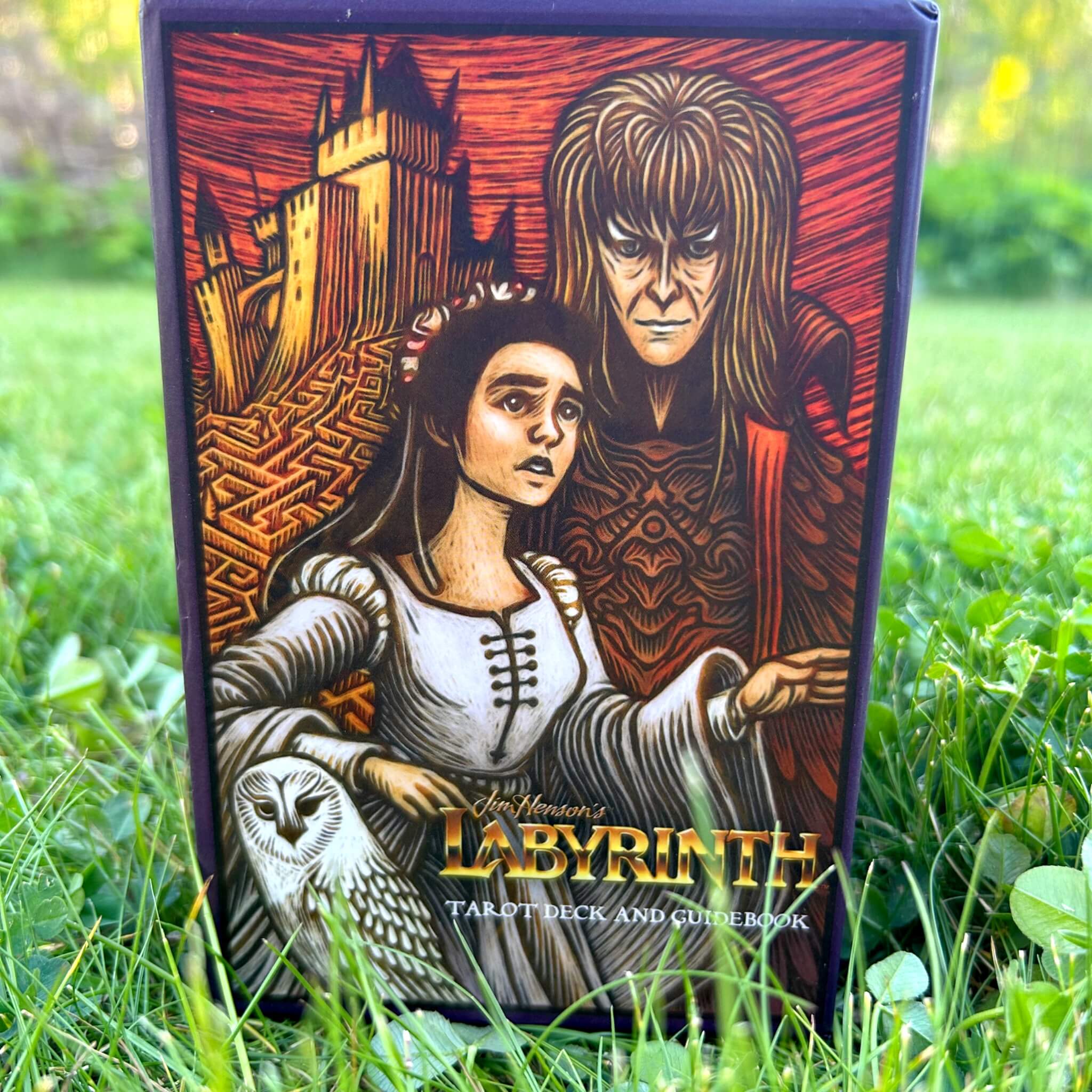 Labyrinth Tarot Deck and Guidebook
