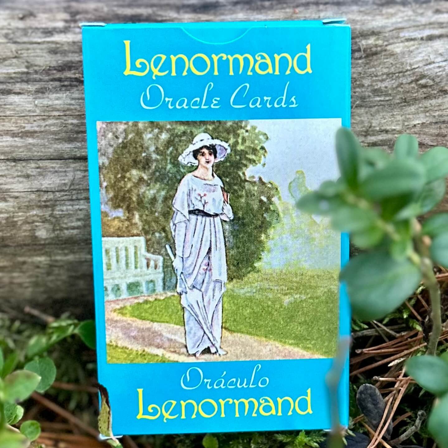 Lenormand Oracle Cards