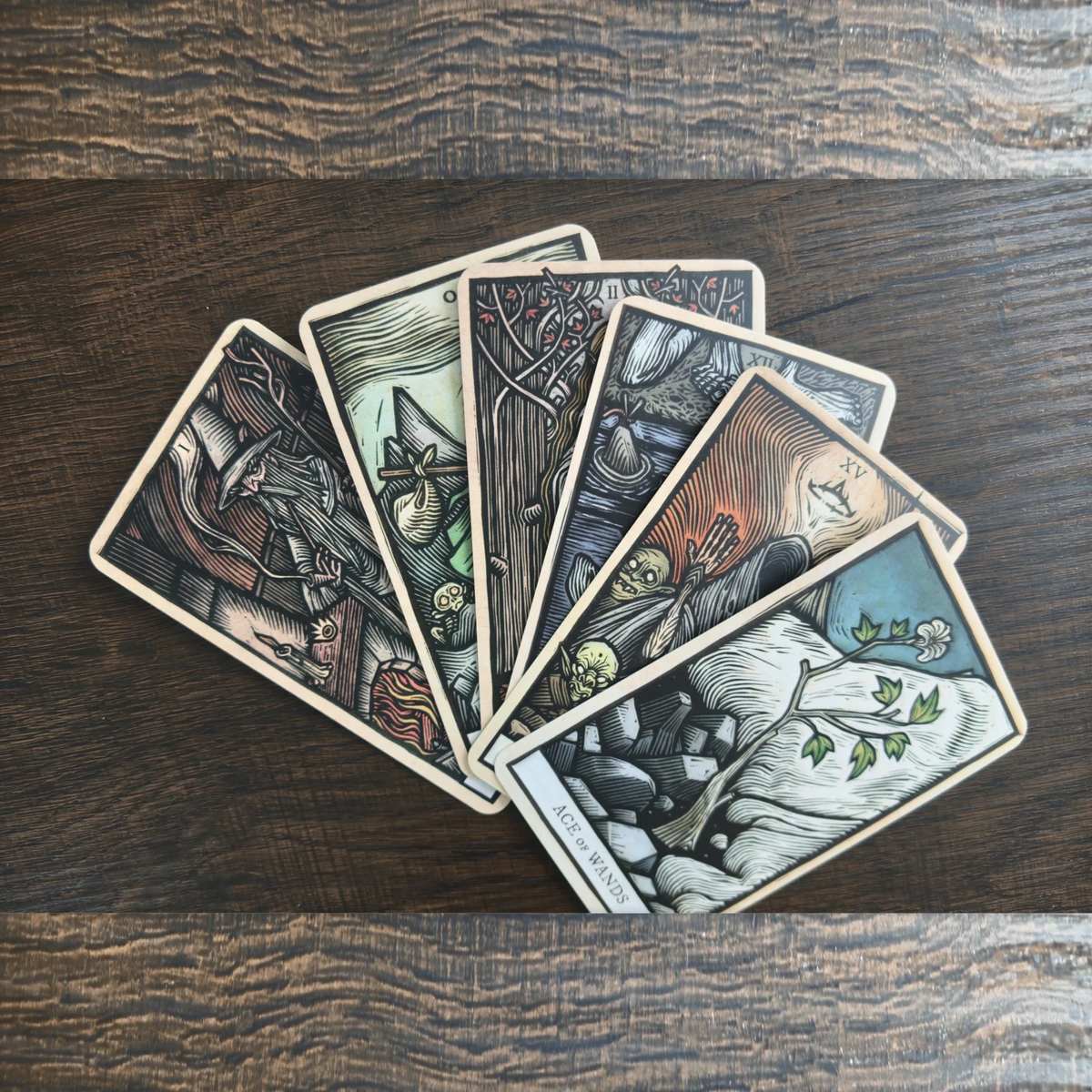 Sex kort ur The Lord of the Rings Tarot utlagda som en solfjäder på ett mörkt träbord, med Ace of Wands överst