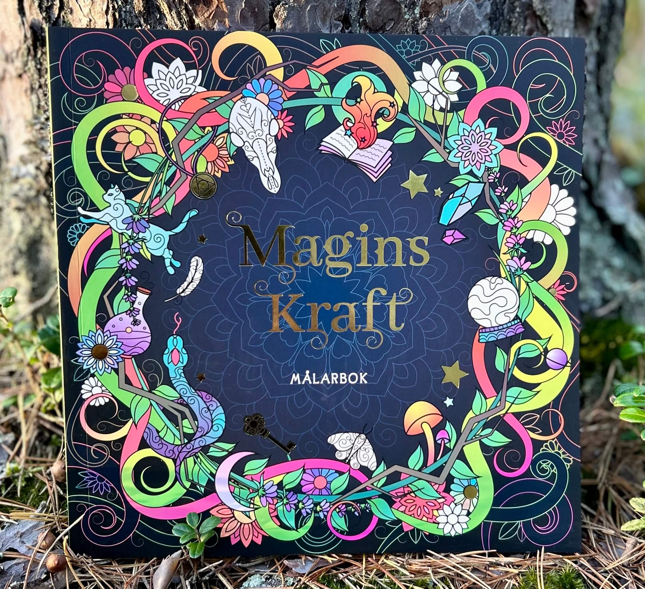 Magins kraft : målarbok