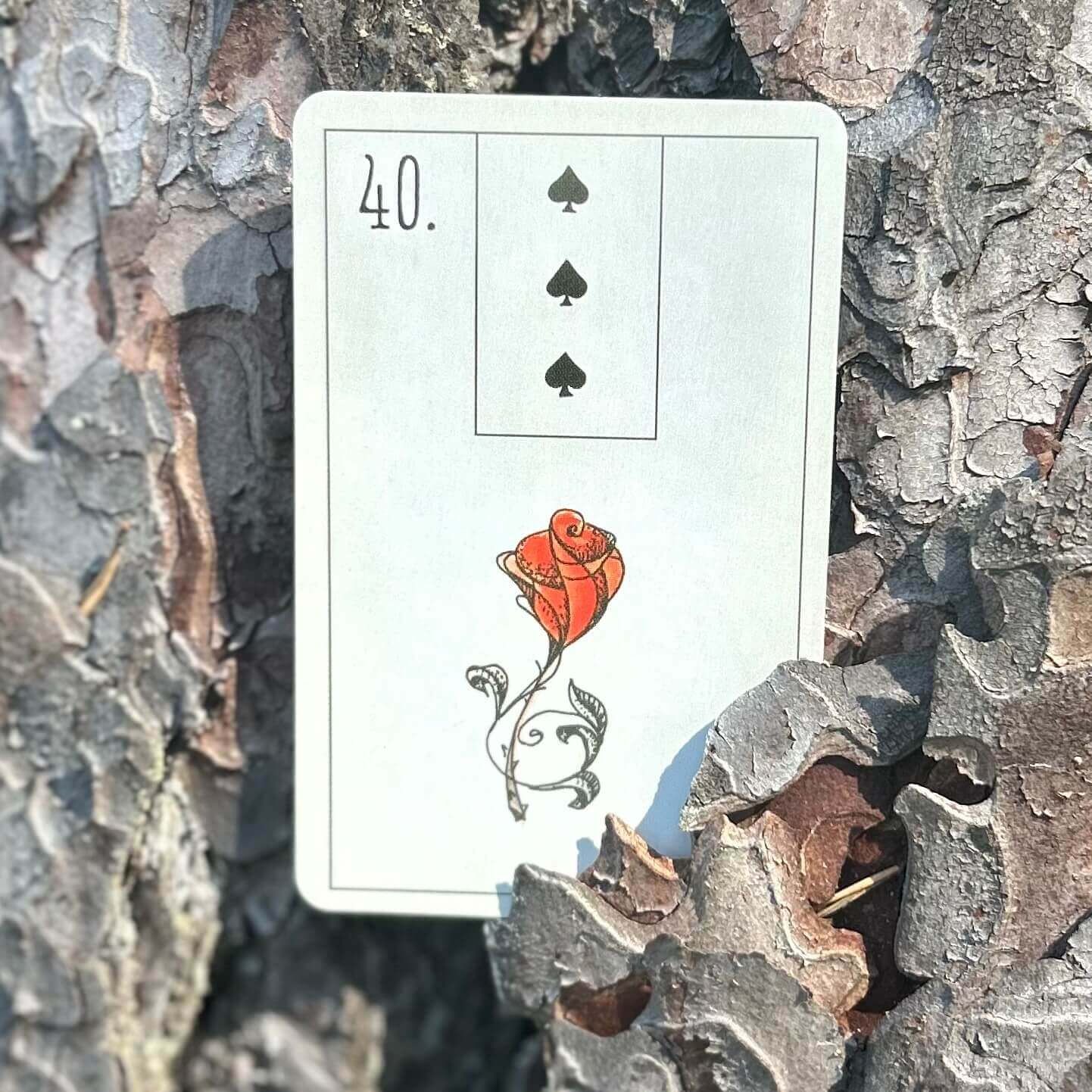 Maybe Lenormand