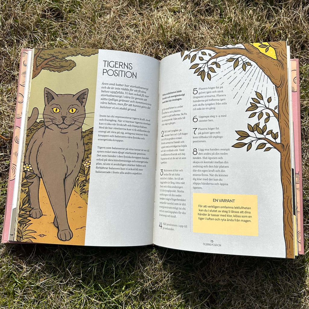 Mystic Kitty : en katts guide till meditation