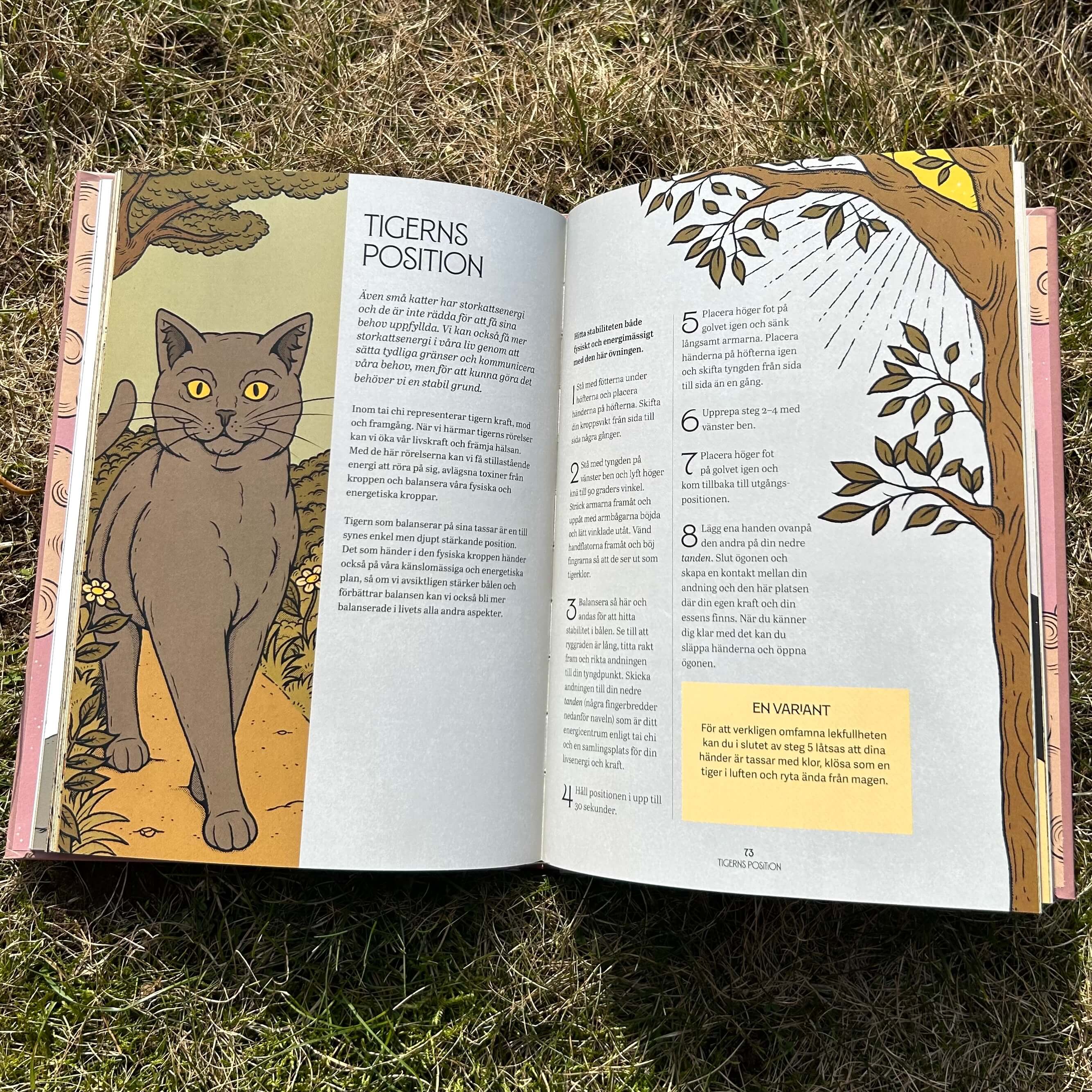 Mystic Kitty : en katts guide till meditation