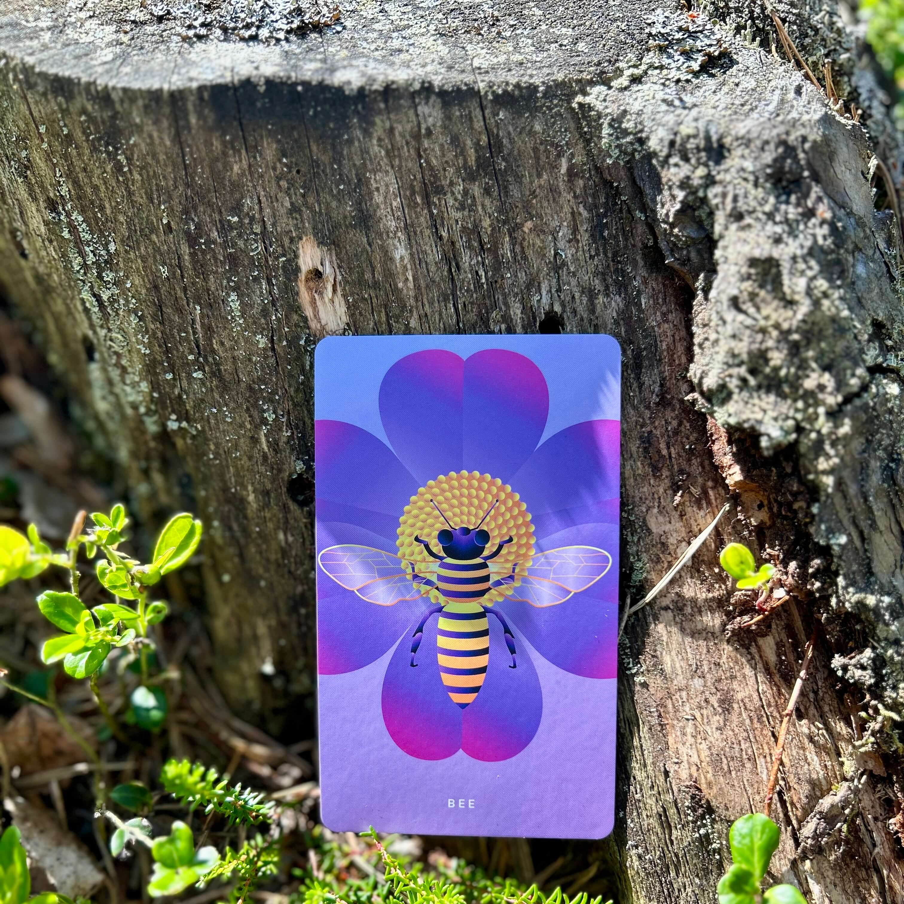 Mystic Mondays: The Cosmic Creatures Deck
