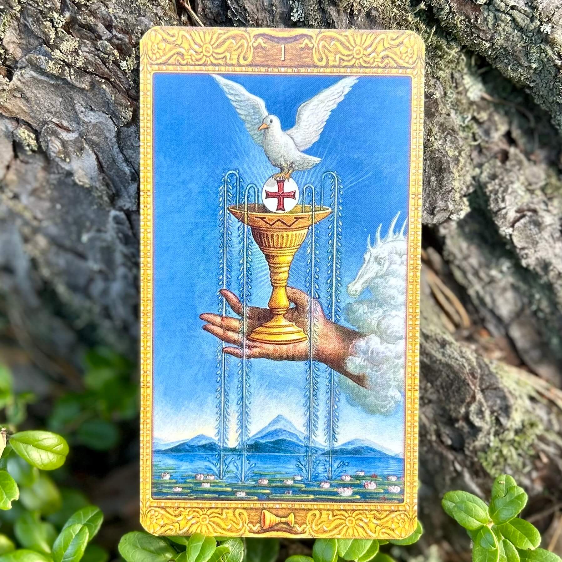 Mystical Tarot