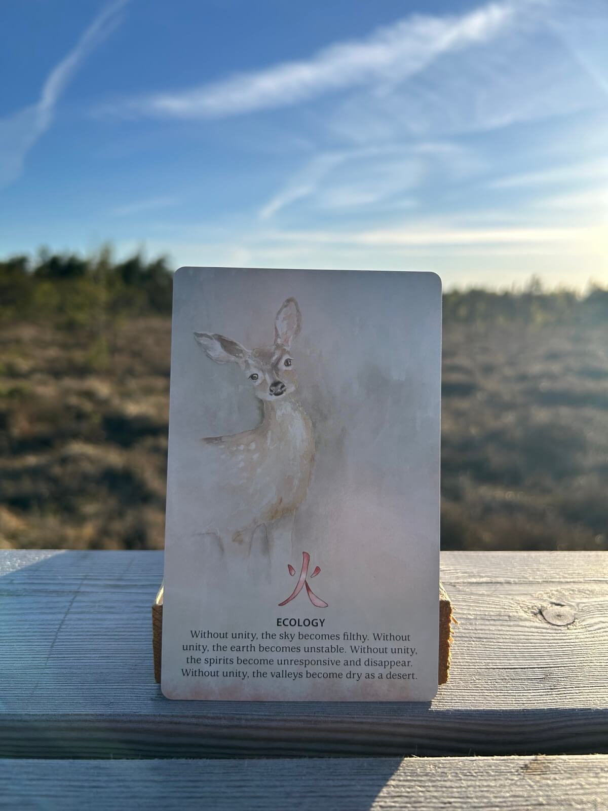 Nature Quest Oracle