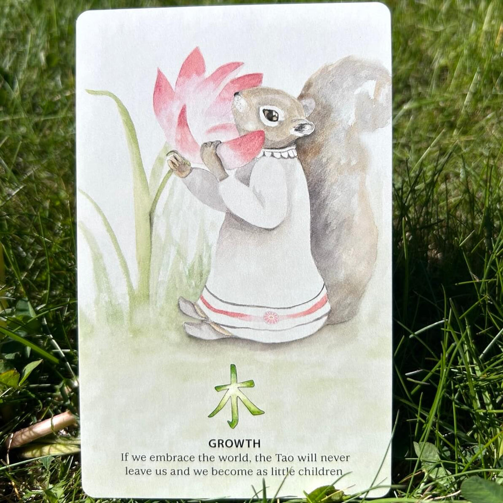 Nature Quest Oracle