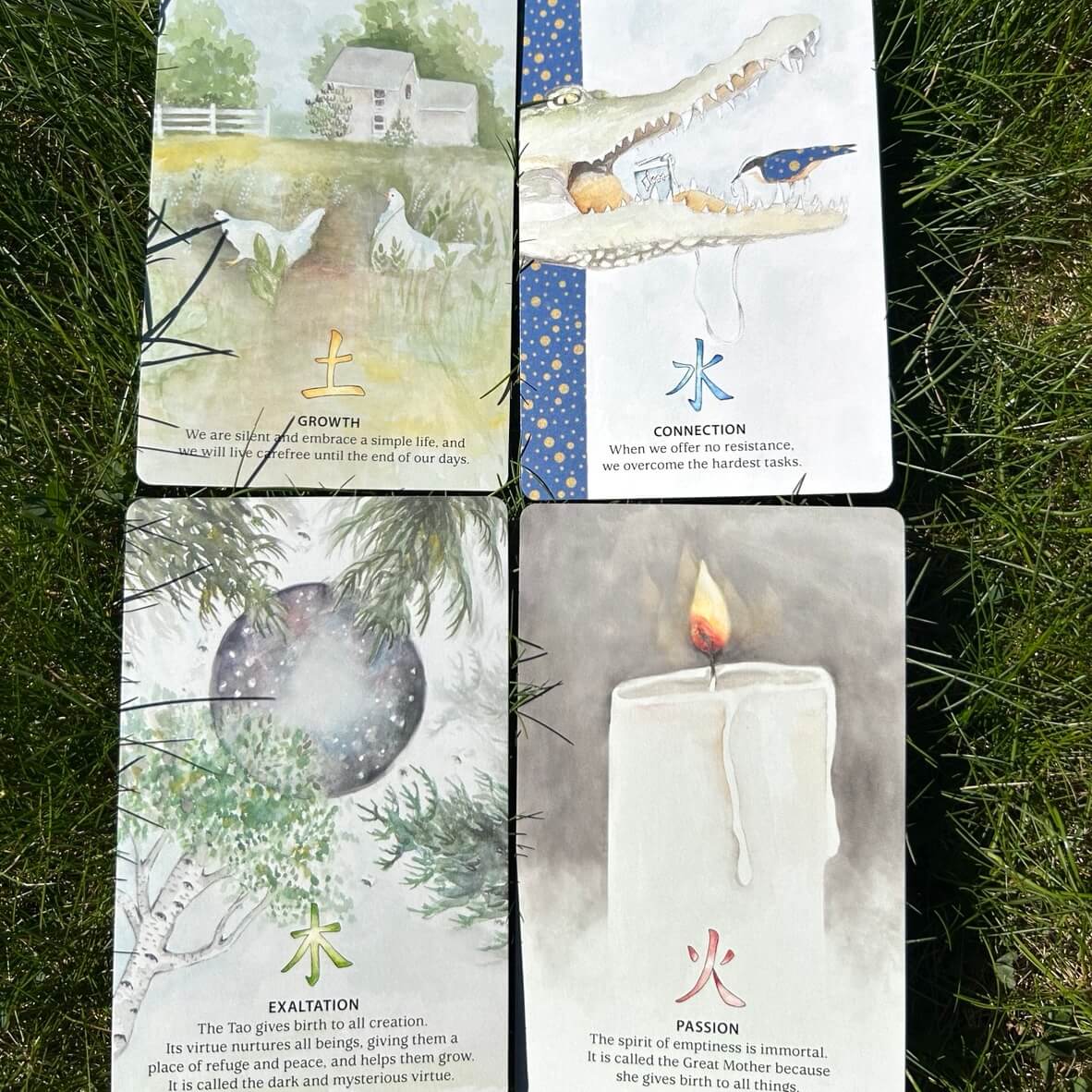 Nature Quest Oracle