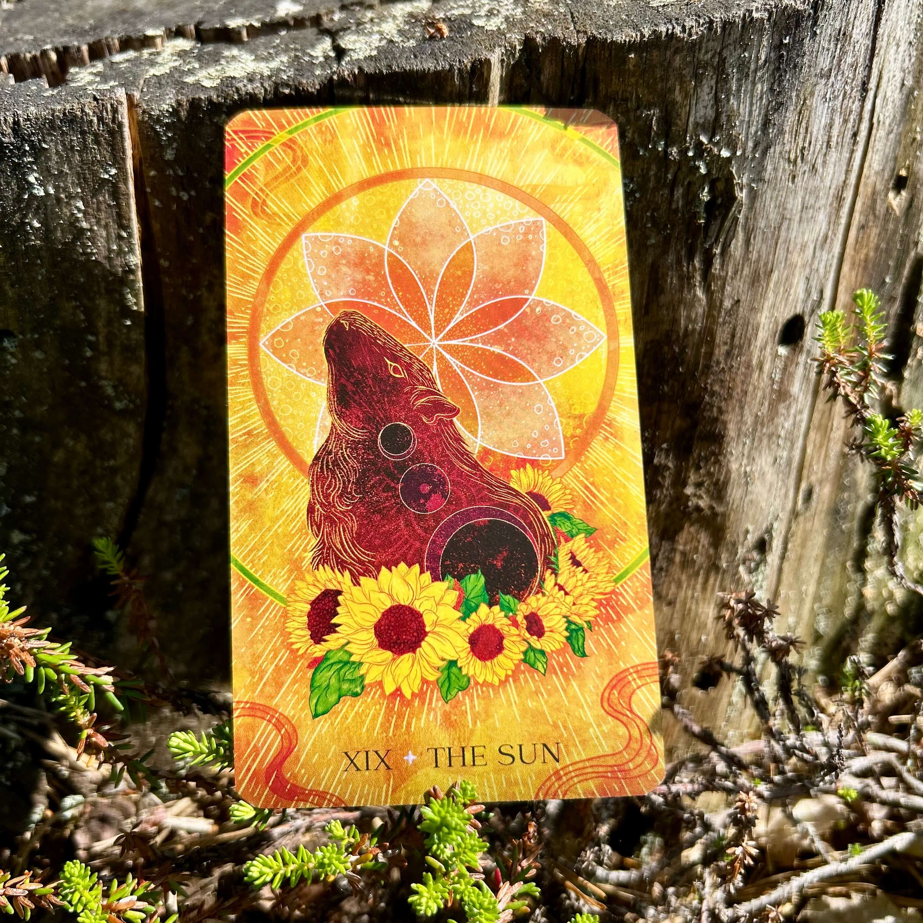 Oriens Animal Tarot