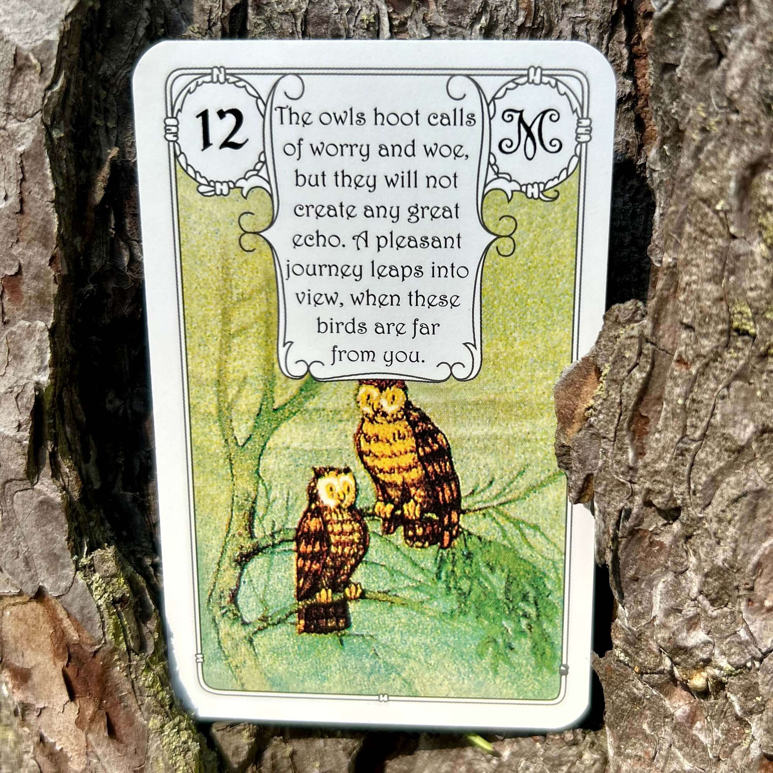 Mlle Lenormand Red Owl