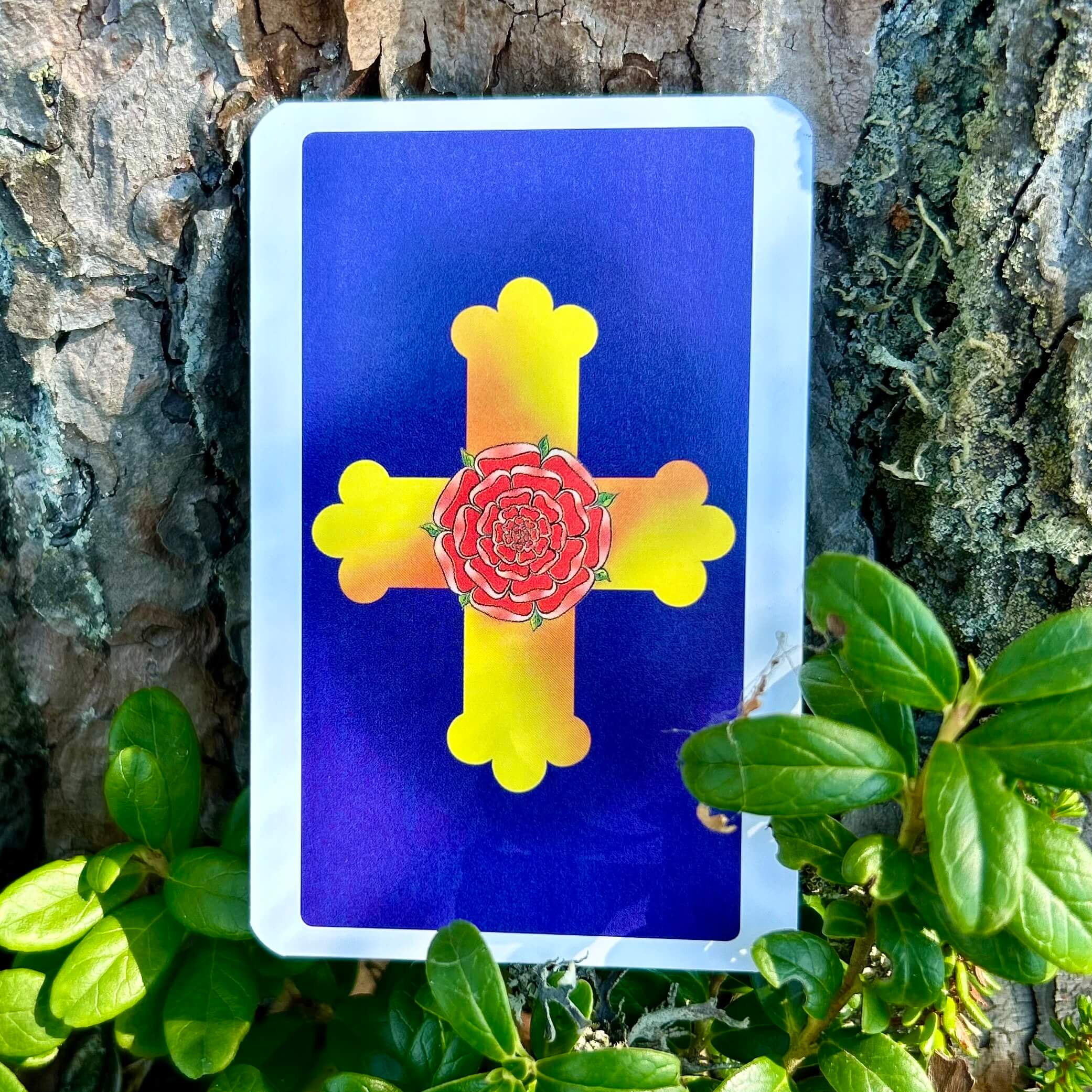 Rider–Waite svensk tarot (pocket)