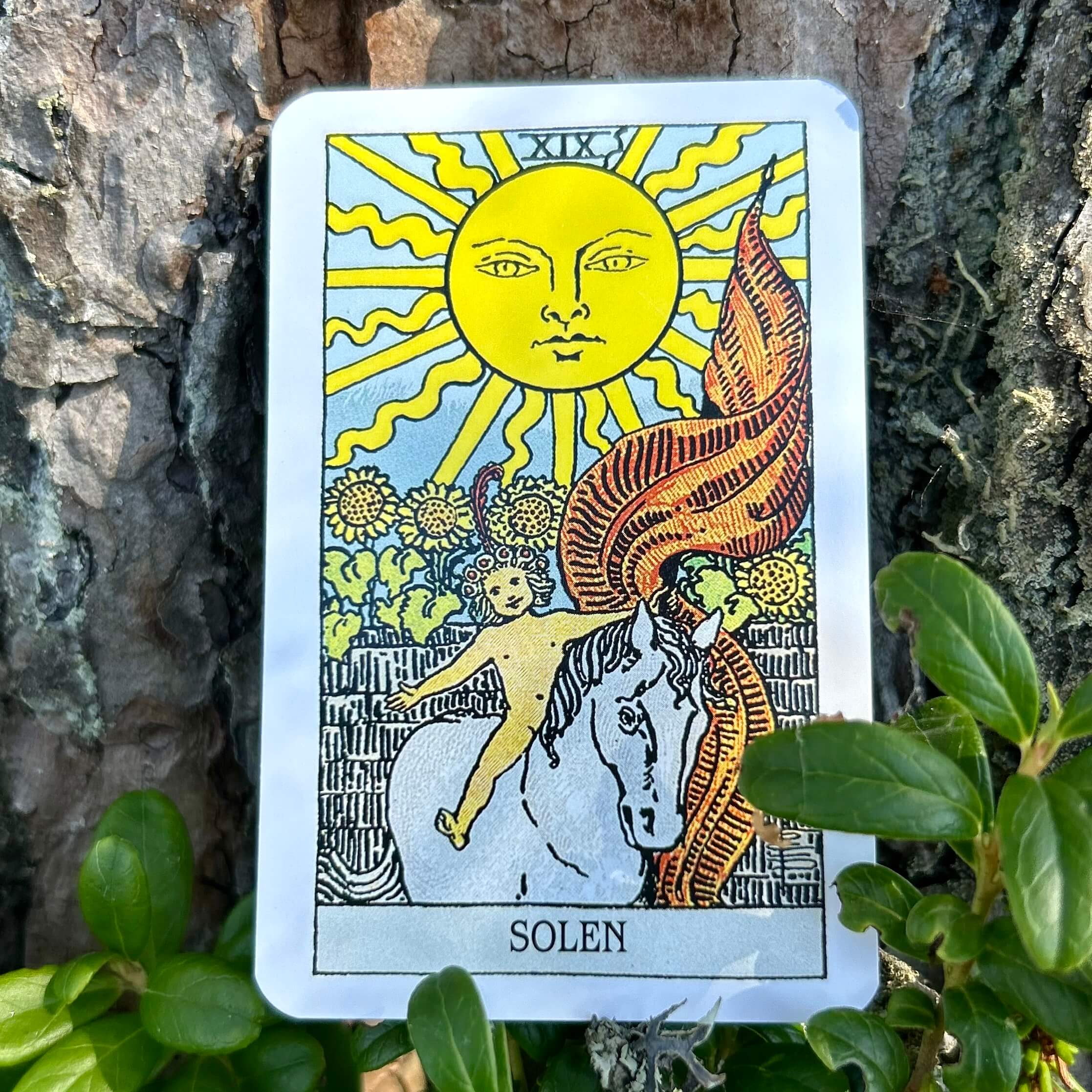 Rider–Waite svensk tarot (pocket)