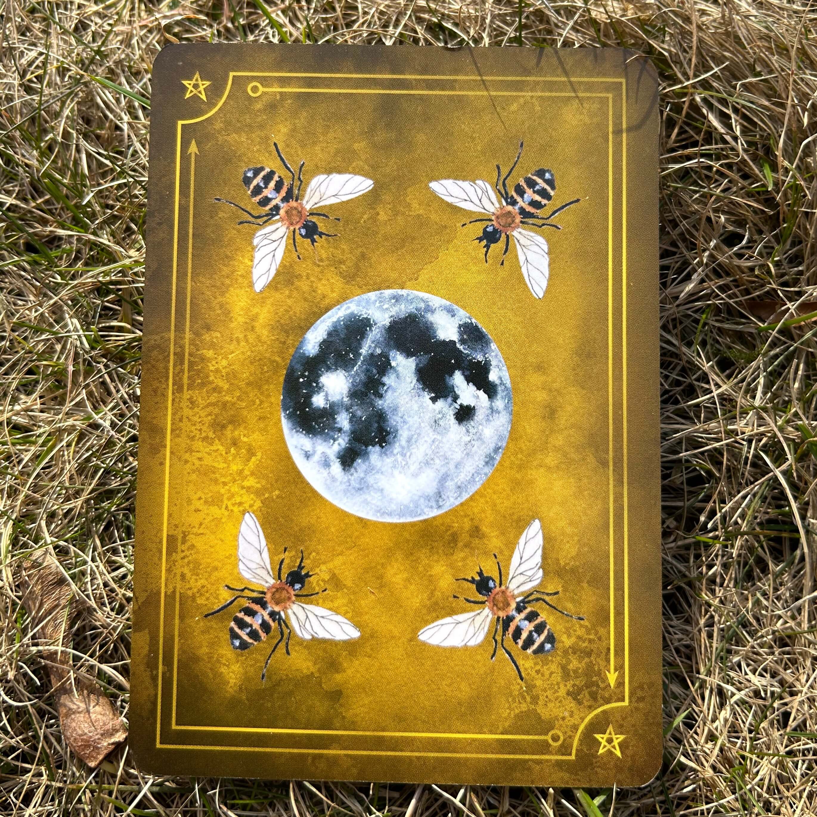 Seasons of the Witch: Beltane Oracle