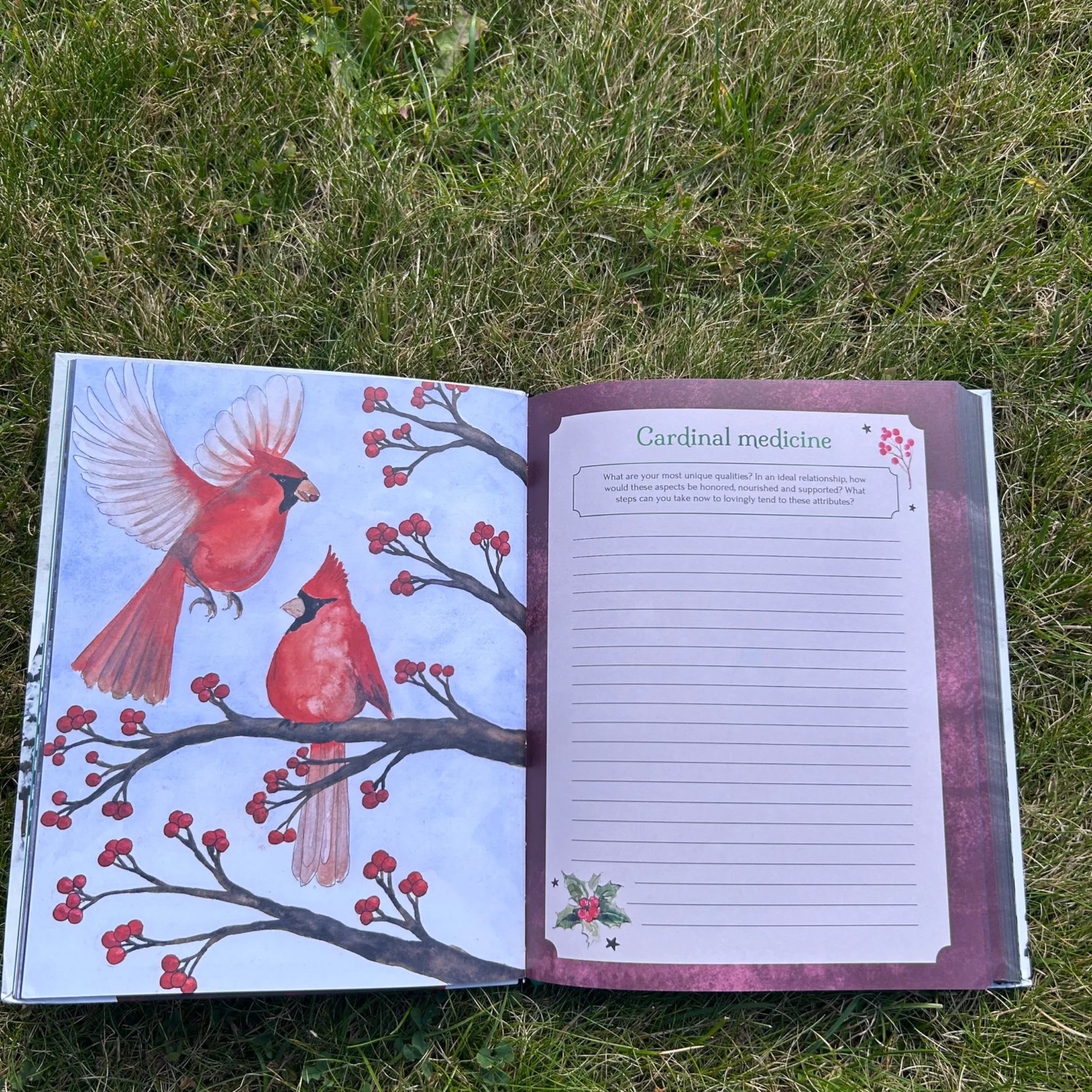 Seasons of the Witch: Yule Journal
