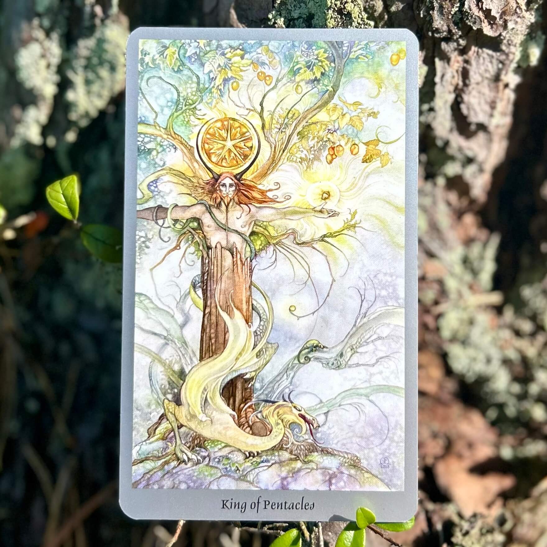 Shadowscapes Tarot