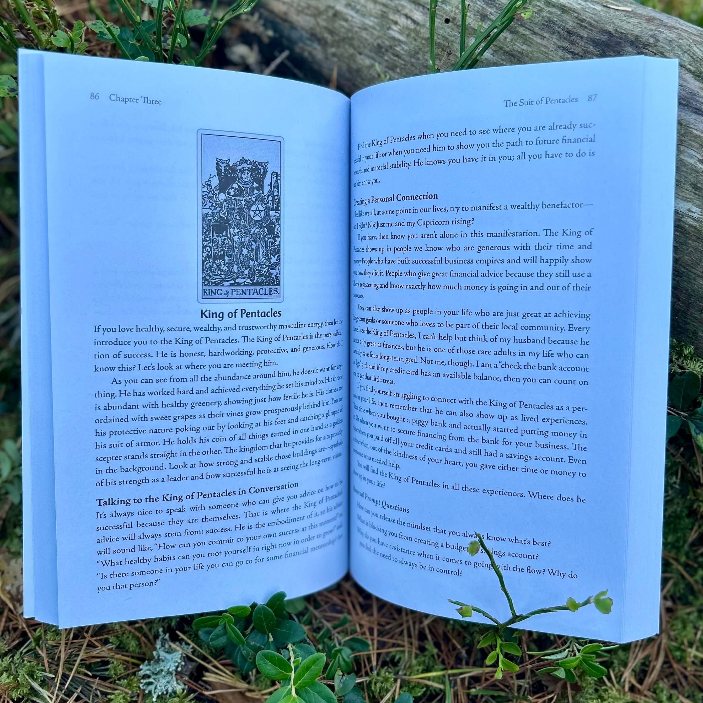 Talking with the Tarot: Conversations with Your 78 New Best Friends