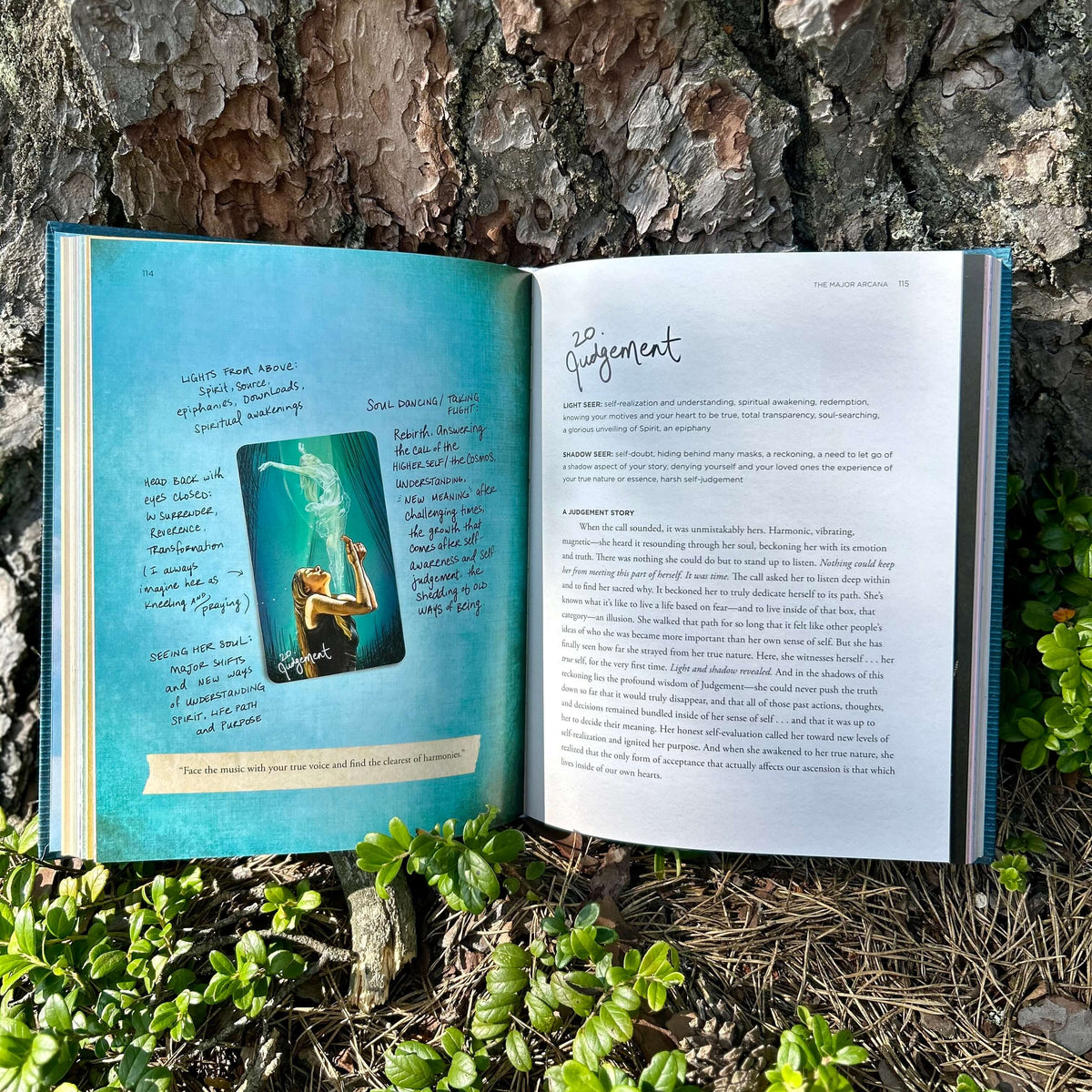 Tarot for Light Seers