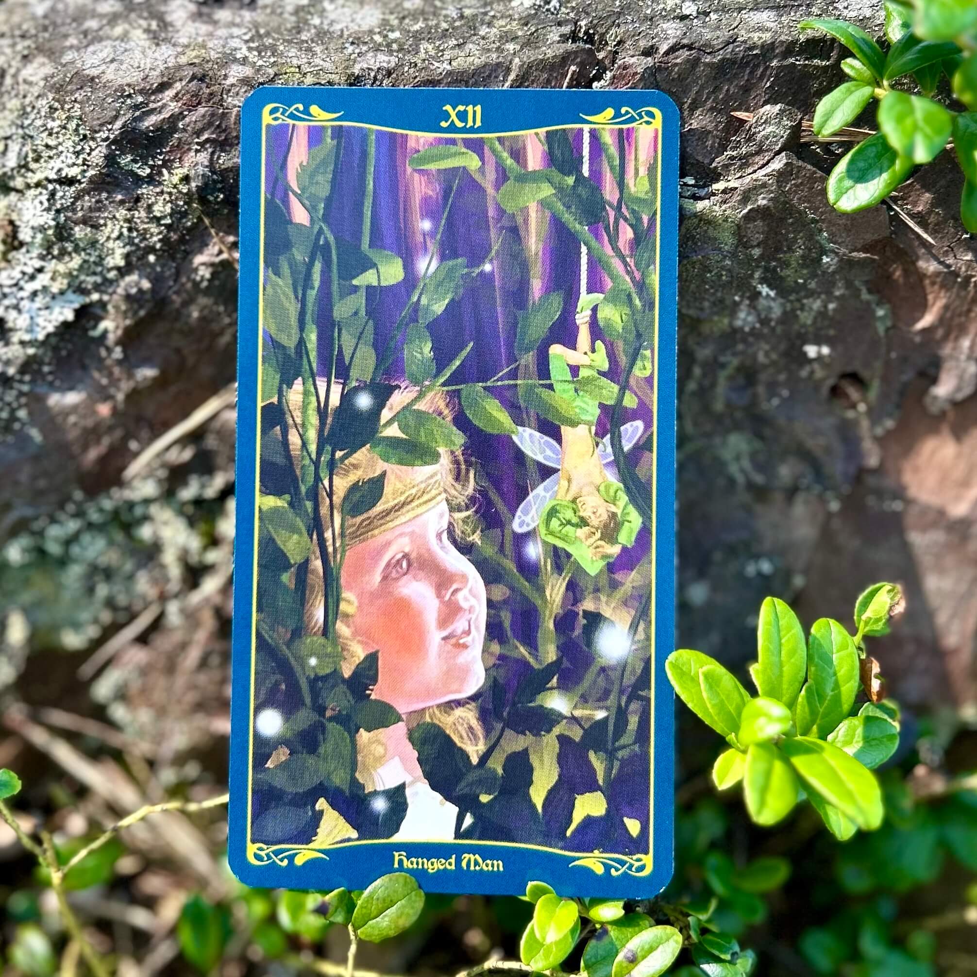 Tarot of the Celtic Fairies