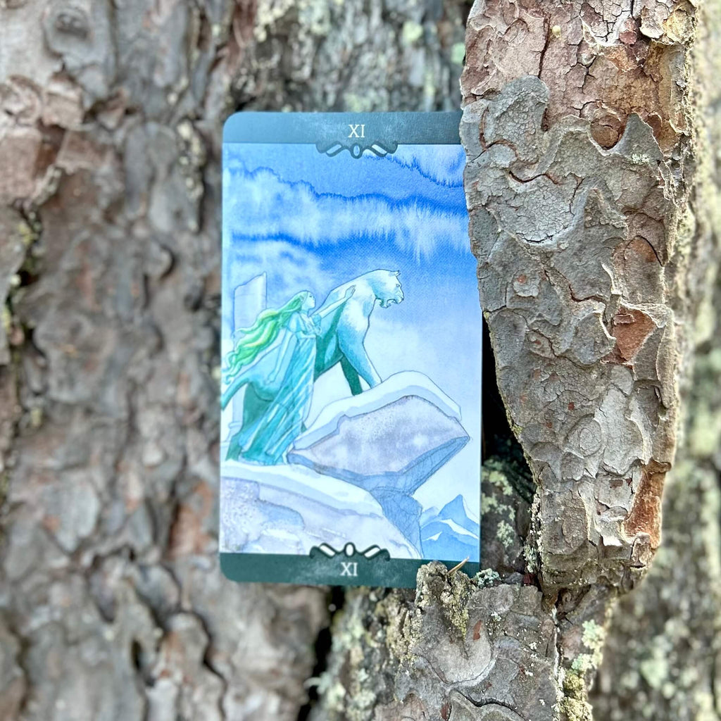 Tarot of the Dream Enchantress