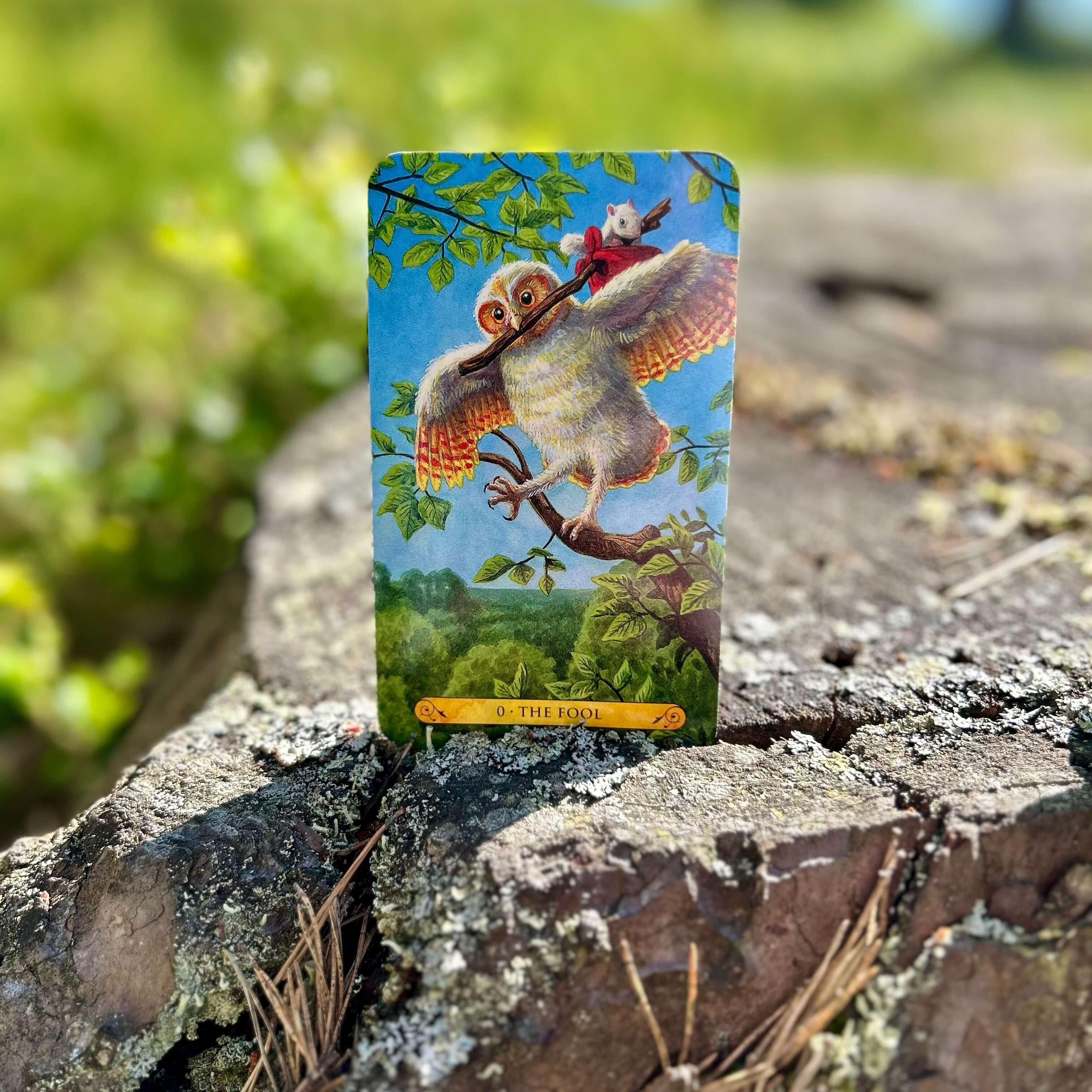Tarot of the Owls