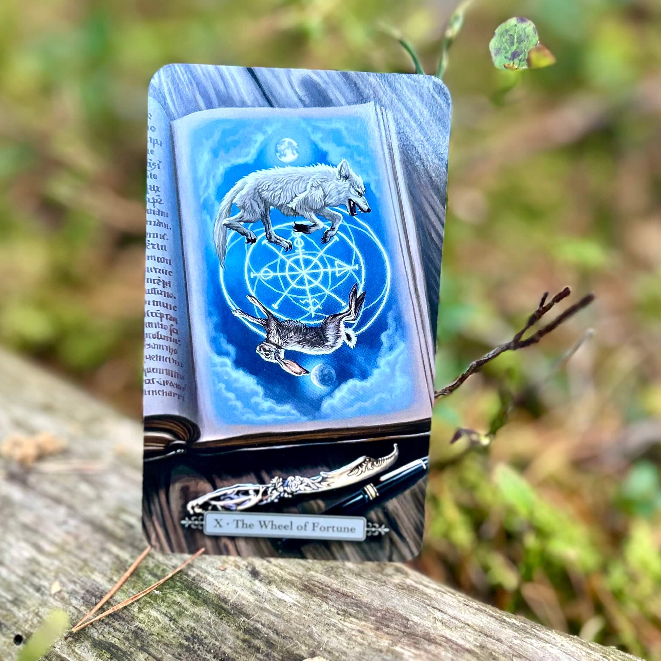 Tarot of the Vampires