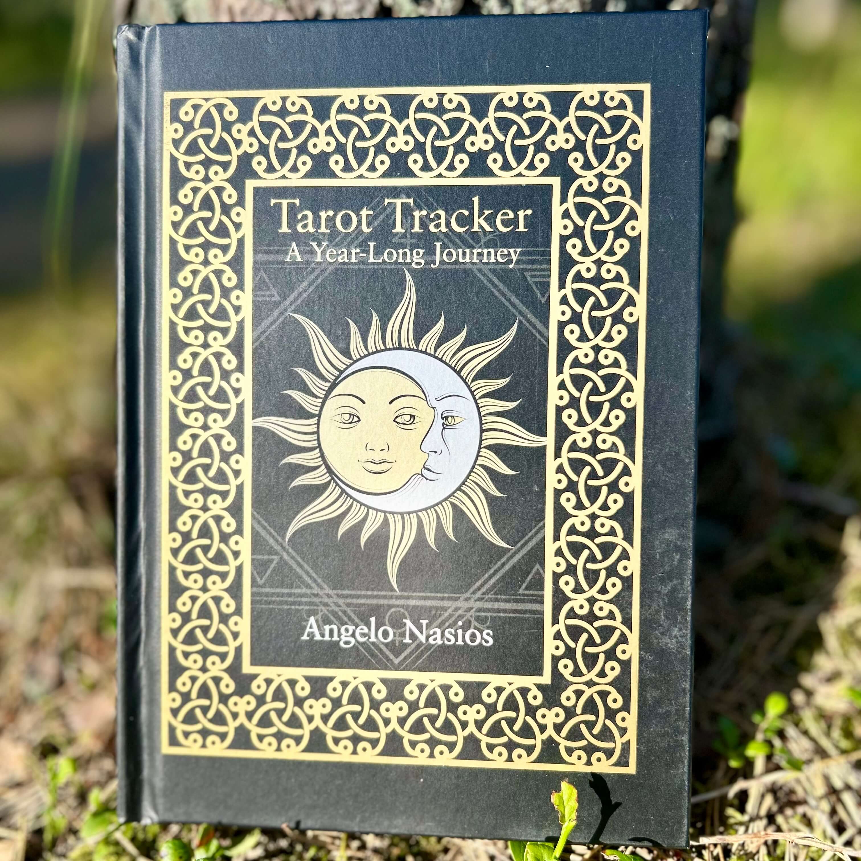 Tarot Tracker: A Year-Long Journey