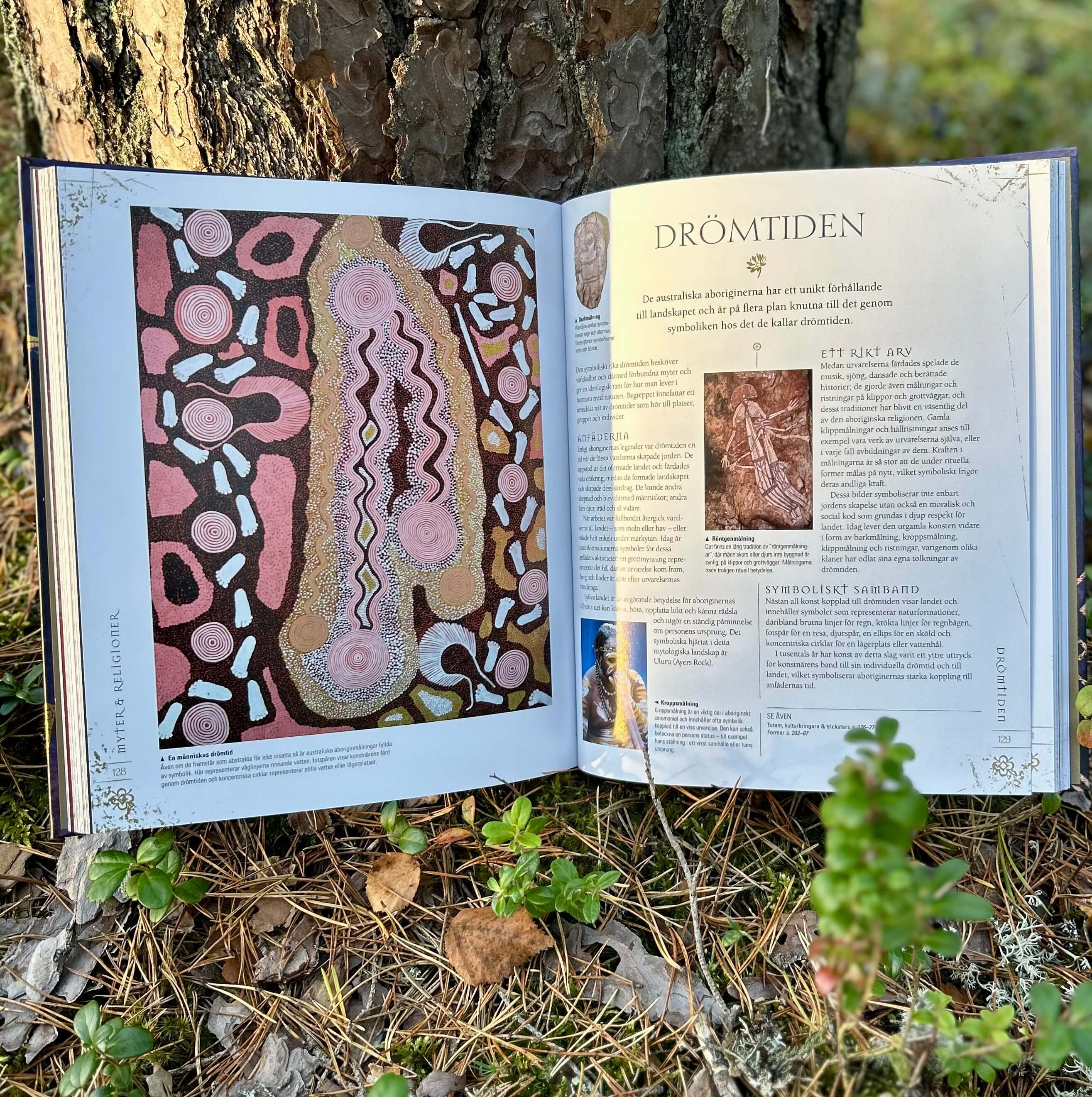 Tecken & symboler : en illustrerad handbok om ursprung och innebörd