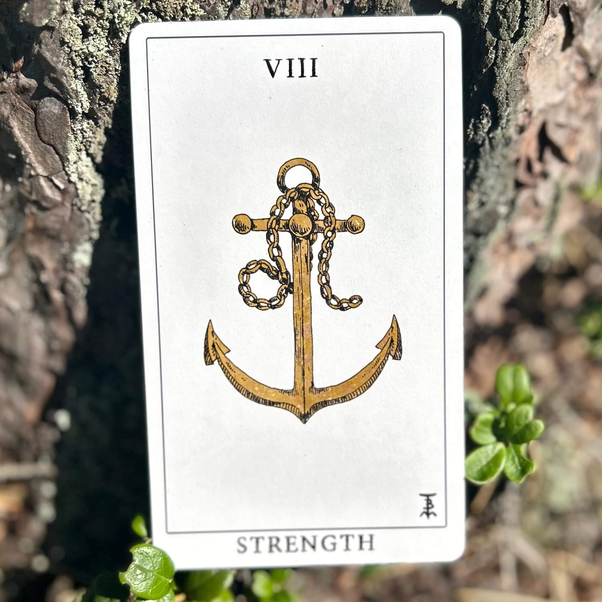 Tempest Tarot Deck